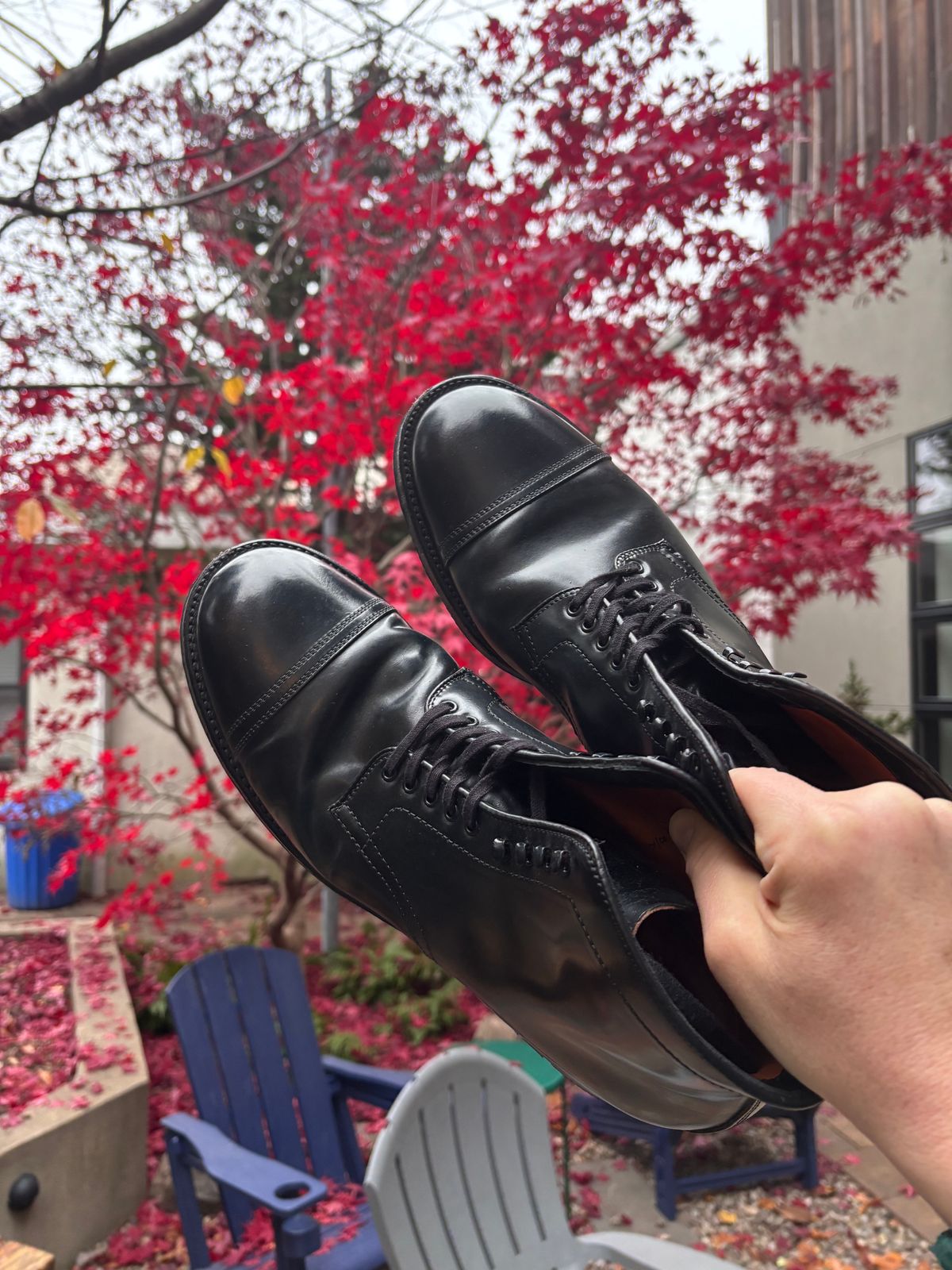Photo by Way2Jeff on December 5, 2025 of the Alden Cavalry Boot in Horween Black Shell Cordovan.