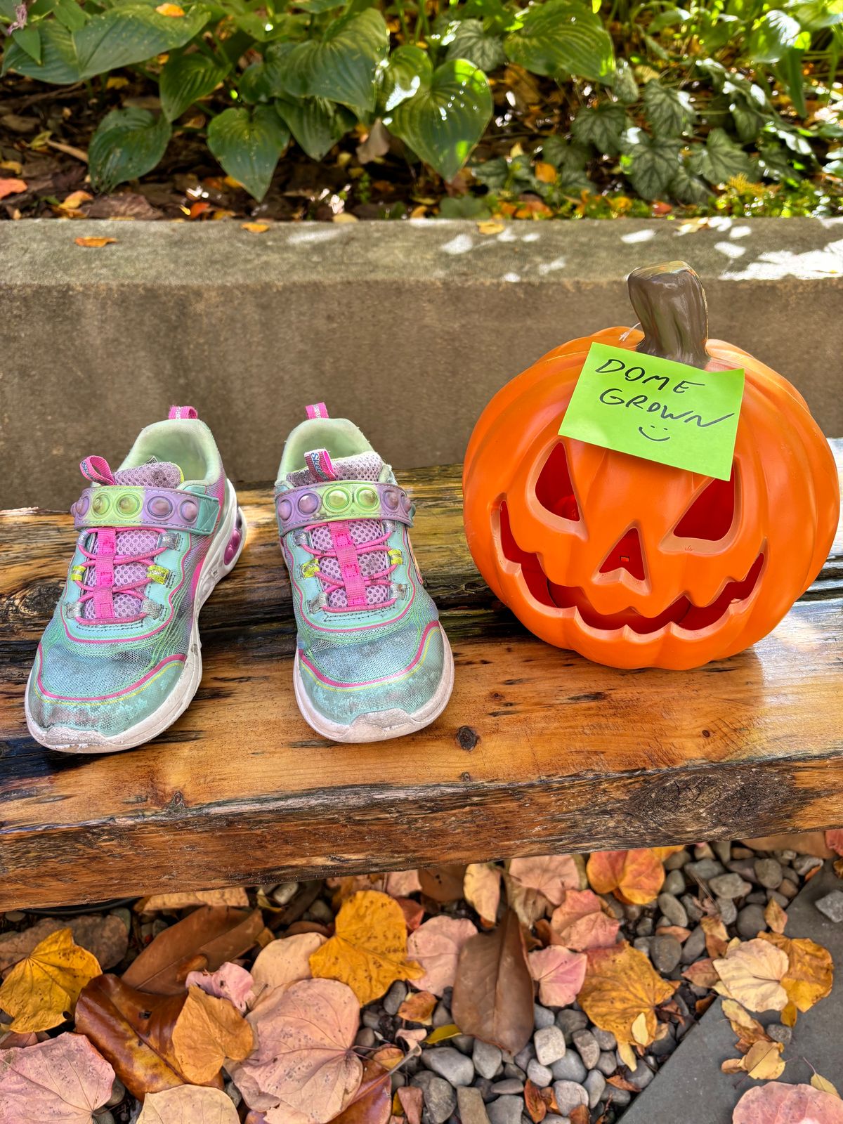 Photo by Way2Jeff on November 2, 2023 of the Skechers Kids Sport-Skech Pops in Synthetic.