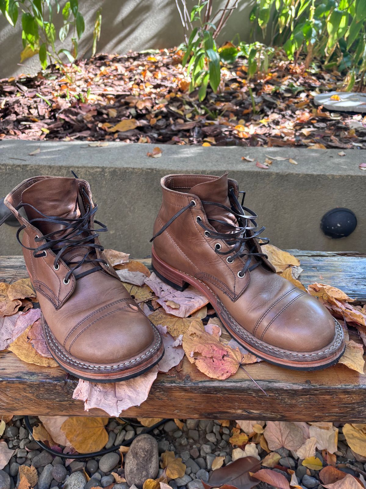 Photo by Way2Jeff on November 5, 2024 of the White's Semi-Dress in Horween Natural Chromexcel.