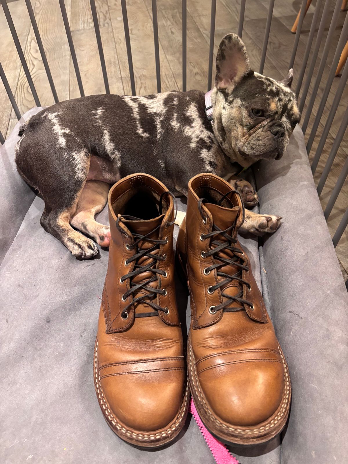 Photo by Way2Jeff on March 6, 2025 of the White's Semi-Dress in Horween Natural Chromexcel.
