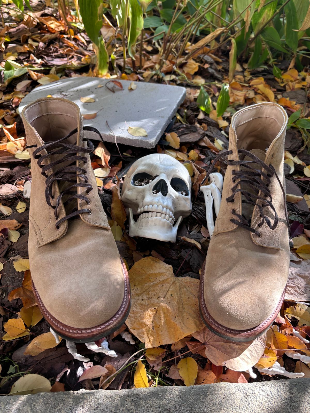 Photo by Way2Jeff on November 5, 2024 of the Alden x Brogue Boondocker Boot in Tan Suede.