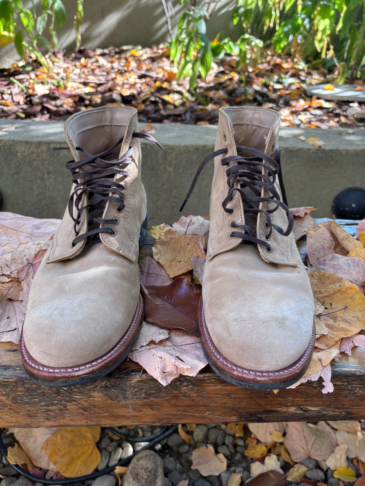 Photo by Way2Jeff on November 5, 2024 of the Alden x Brogue Boondocker Boot in Tan Suede.