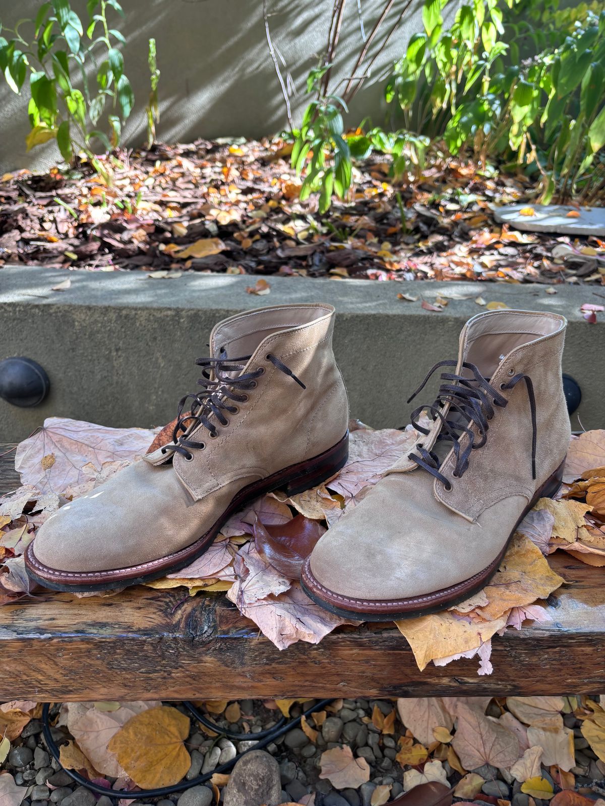 Photo by Way2Jeff on November 5, 2024 of the Alden x Brogue Boondocker Boot in Tan Suede.