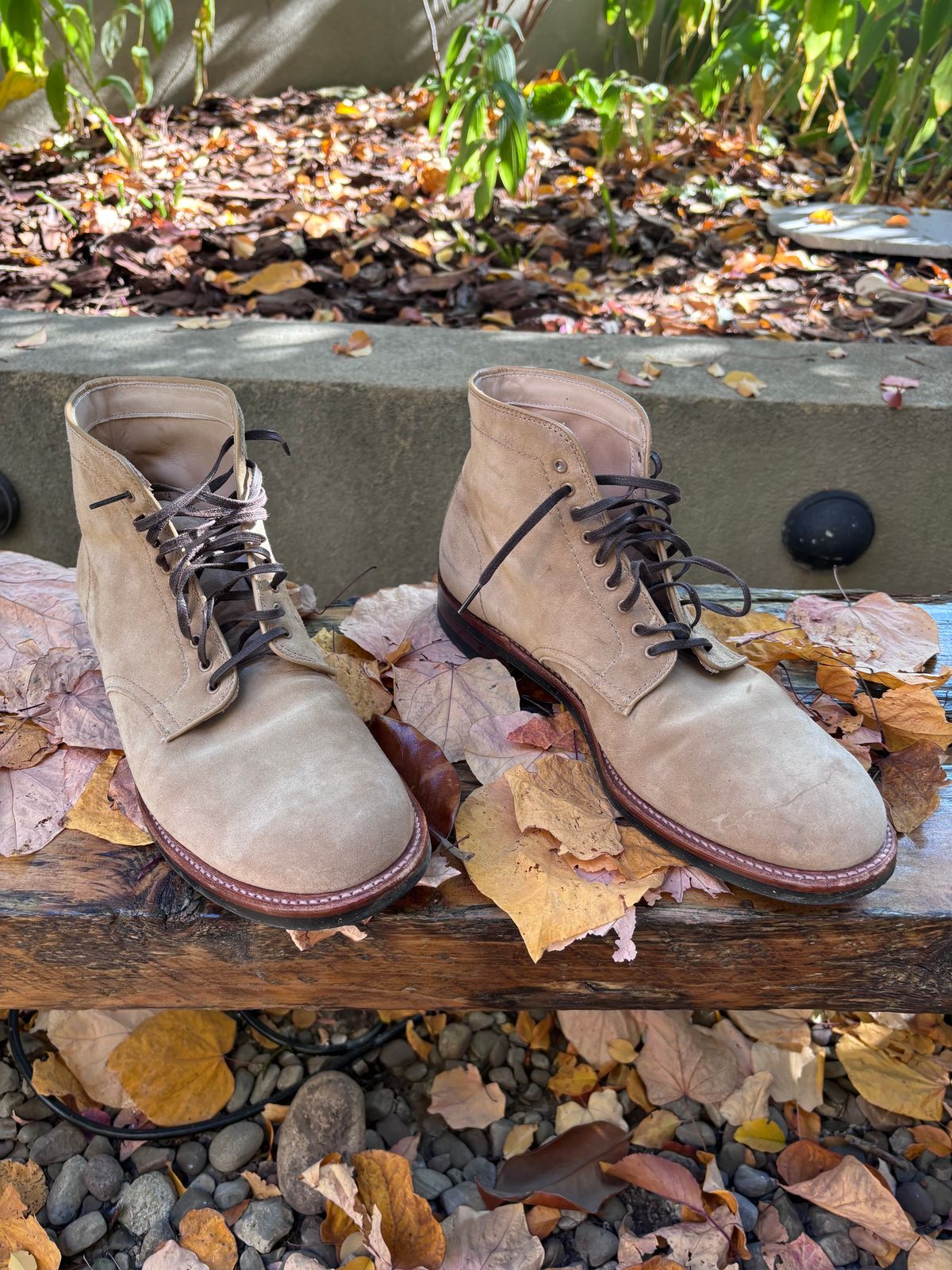 Photo by Way2Jeff on November 5, 2024 of the Alden x Brogue Boondocker Boot in Tan Suede.