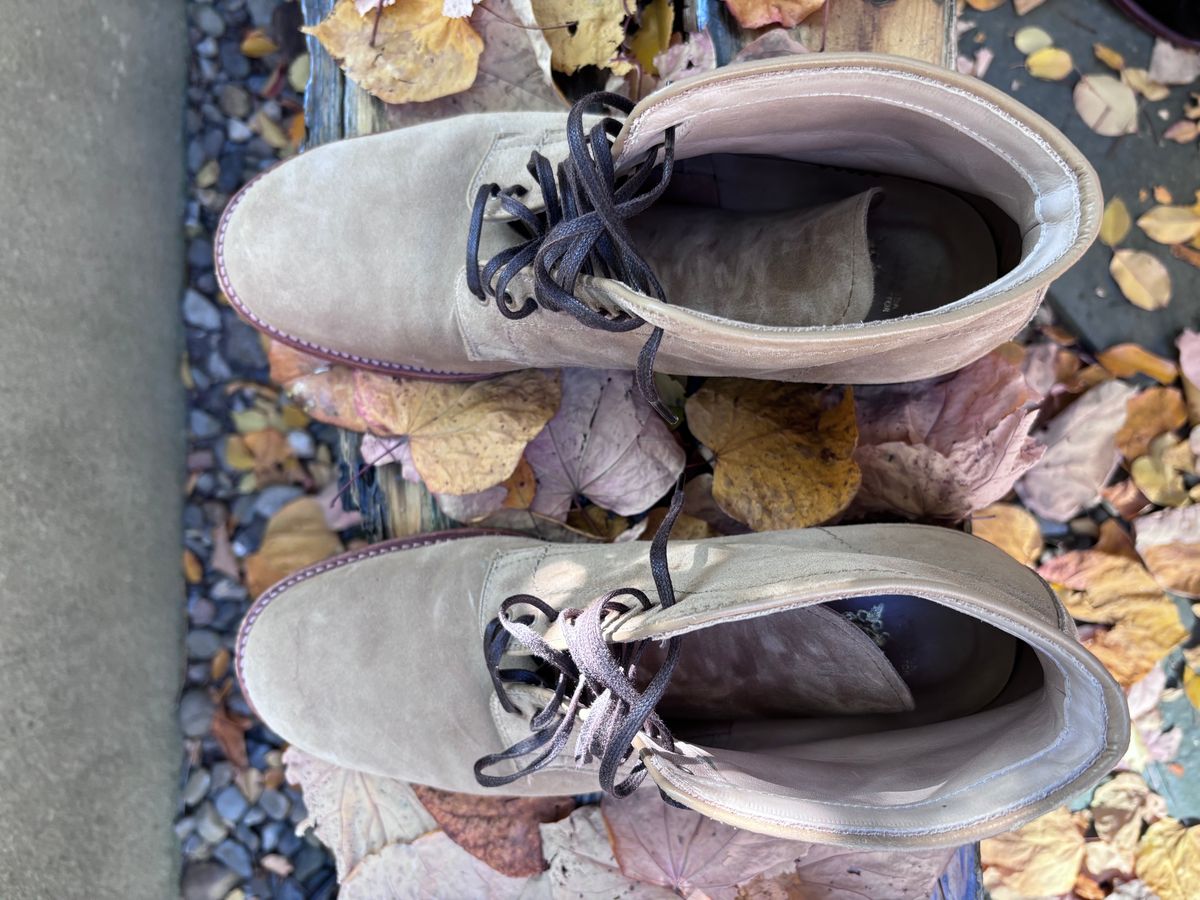 Photo by Way2Jeff on November 5, 2024 of the Alden x Brogue Boondocker Boot in Tan Suede.