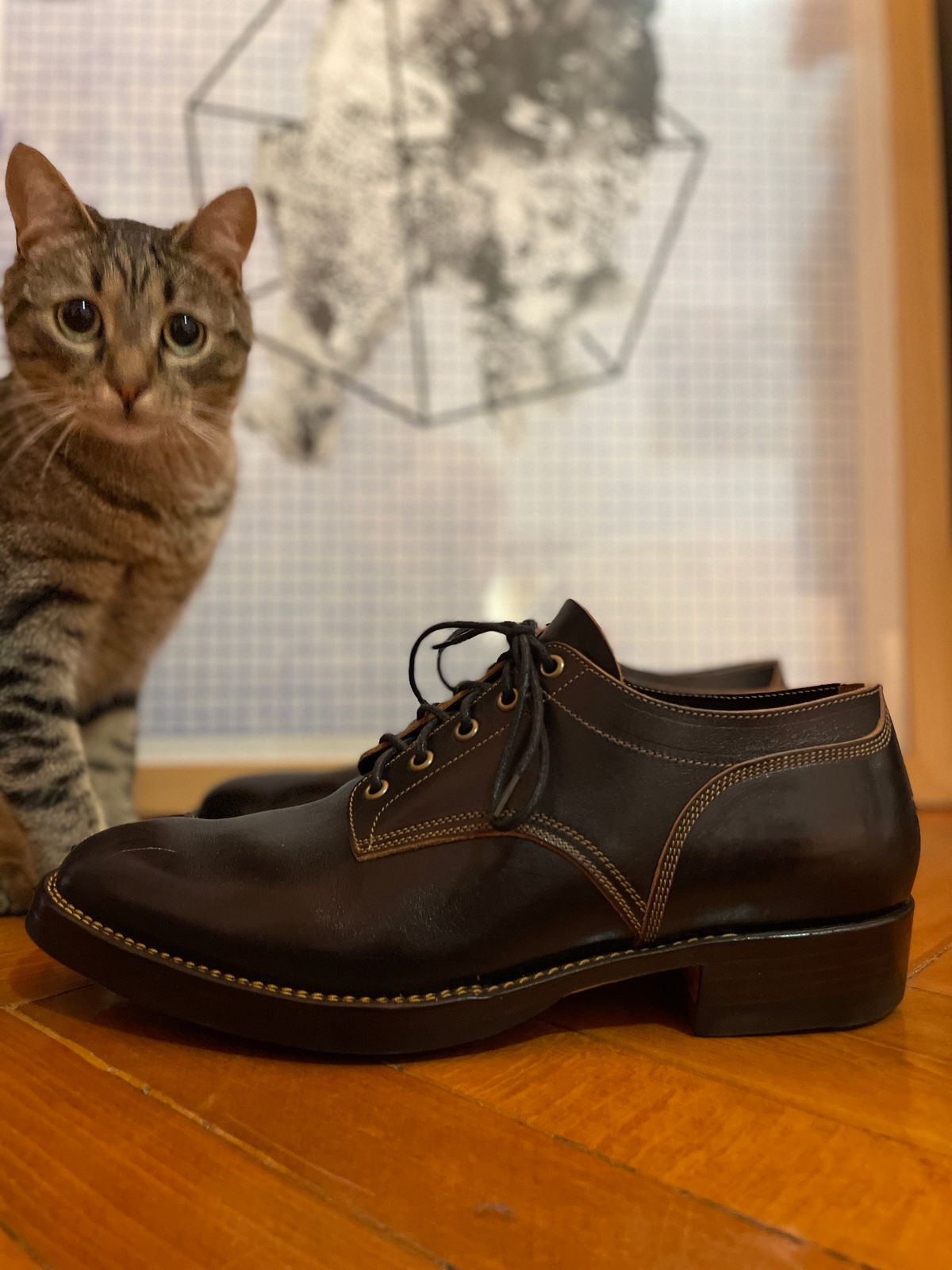 Photo by soleprofessor on October 1, 2023 of the Onderhoud LVL01 Derby Boot in Badalassi Carlo Cognac Minerva.