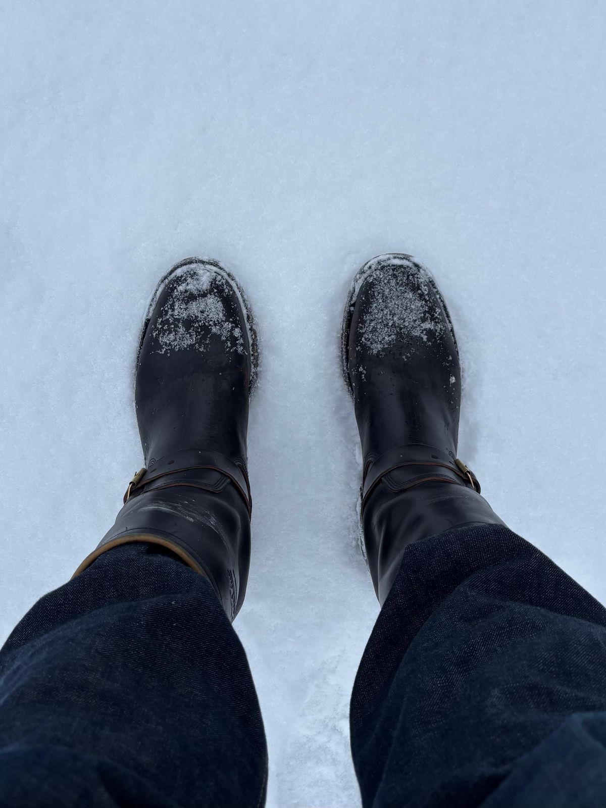 Photo by LastOfTheMohicans on January 3, 2026 of the Role Club Engineer Boots in Shinki Hand-Finished Black Horsehide.