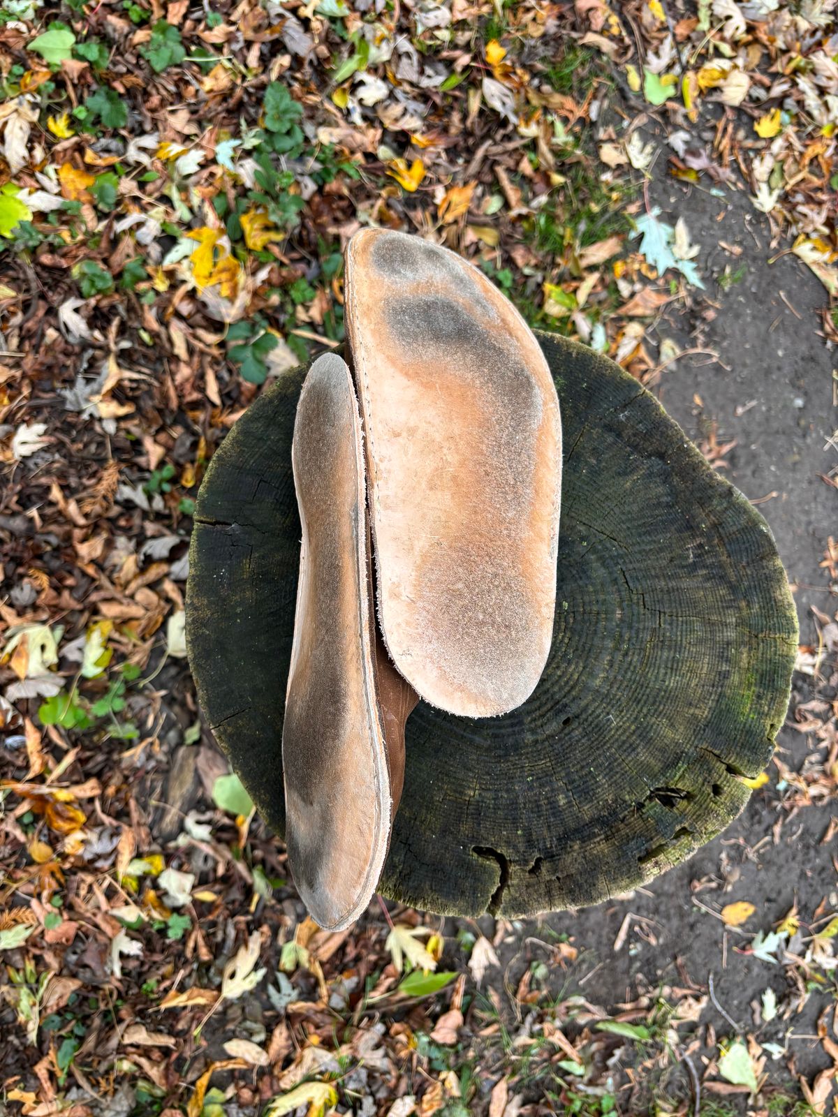 Photo by LastOfTheMohicans on November 4, 2023 of the Home Made Slipper in S.B. Foot Brown Spitfire.