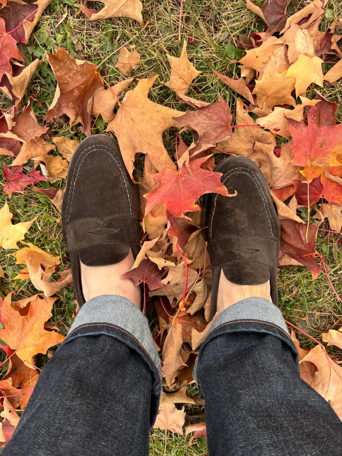 Photo by LastOfTheMohicans on October 27, 2024 of the Alden Leisure Handsewn Penny Loafer in Dark Brown Suede.