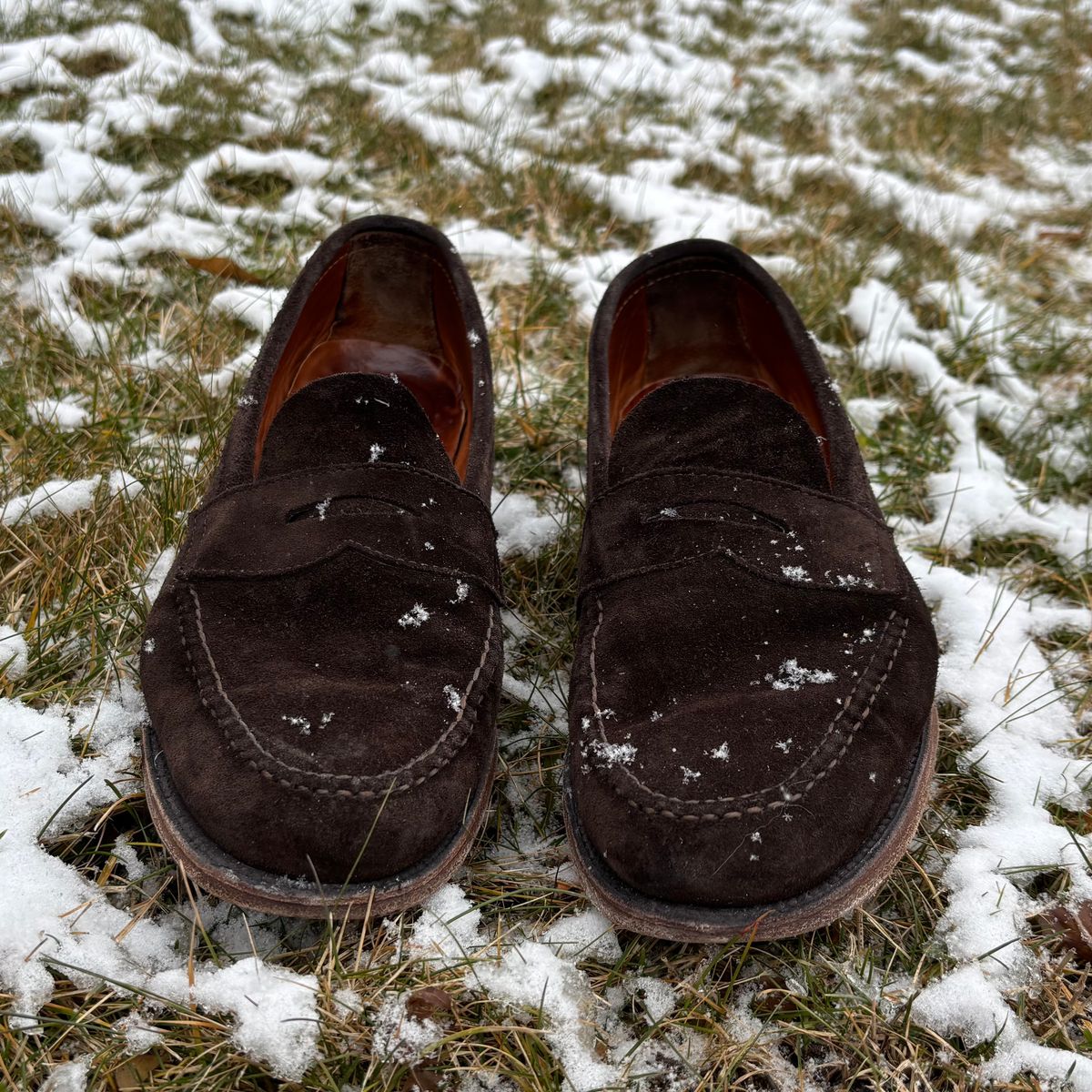 Photo by LastOfTheMohicans on January 3, 2025 of the Alden Leisure Handsewn Penny Loafer in Dark Brown Suede.