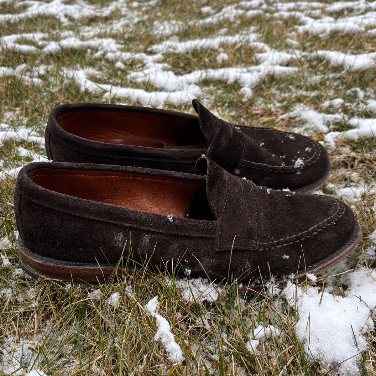 Photo by LastOfTheMohicans on January 3, 2025 of the Alden Leisure Handsewn Penny Loafer in Dark Brown Suede.