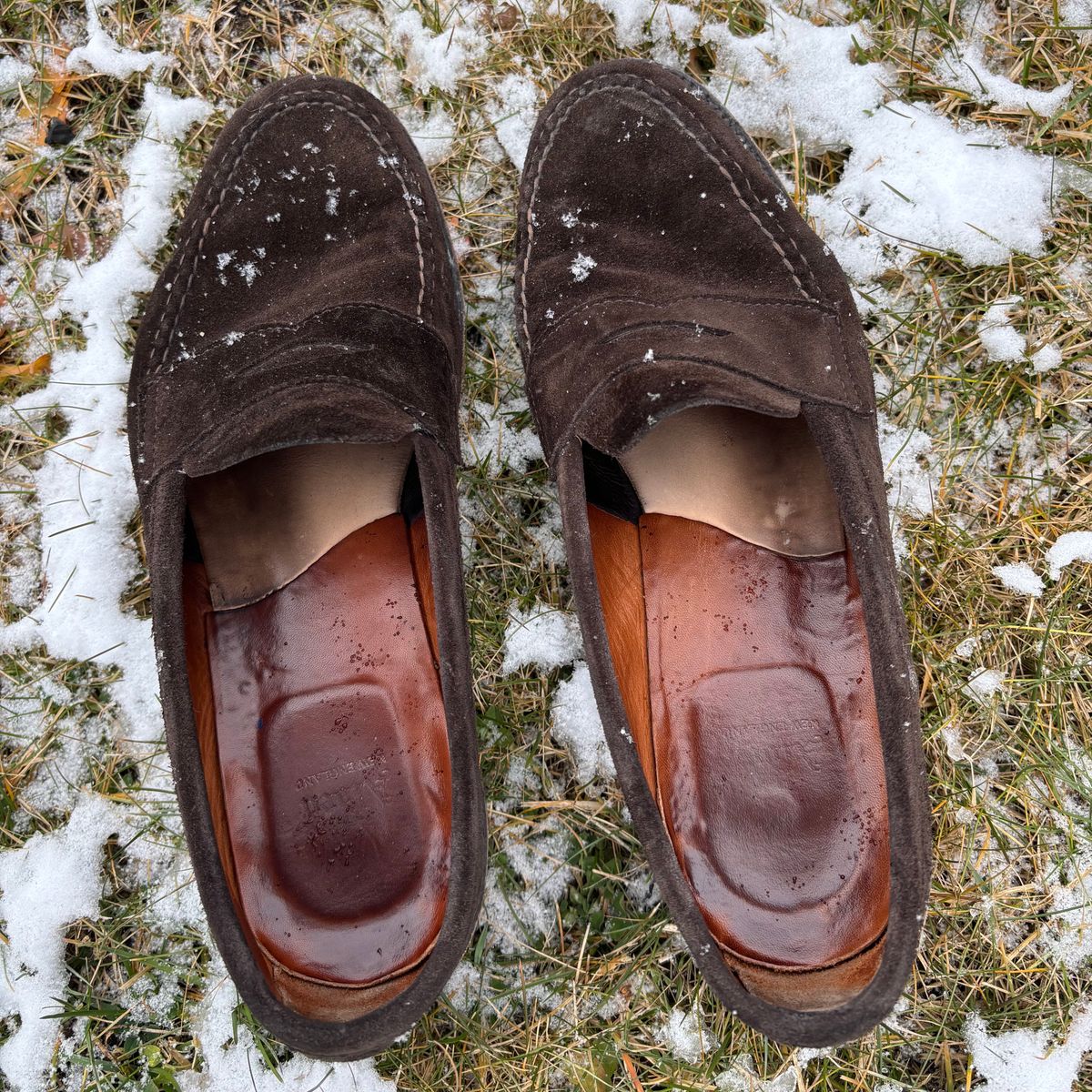 Photo by LastOfTheMohicans on January 3, 2025 of the Alden Leisure Handsewn Penny Loafer in Dark Brown Suede.