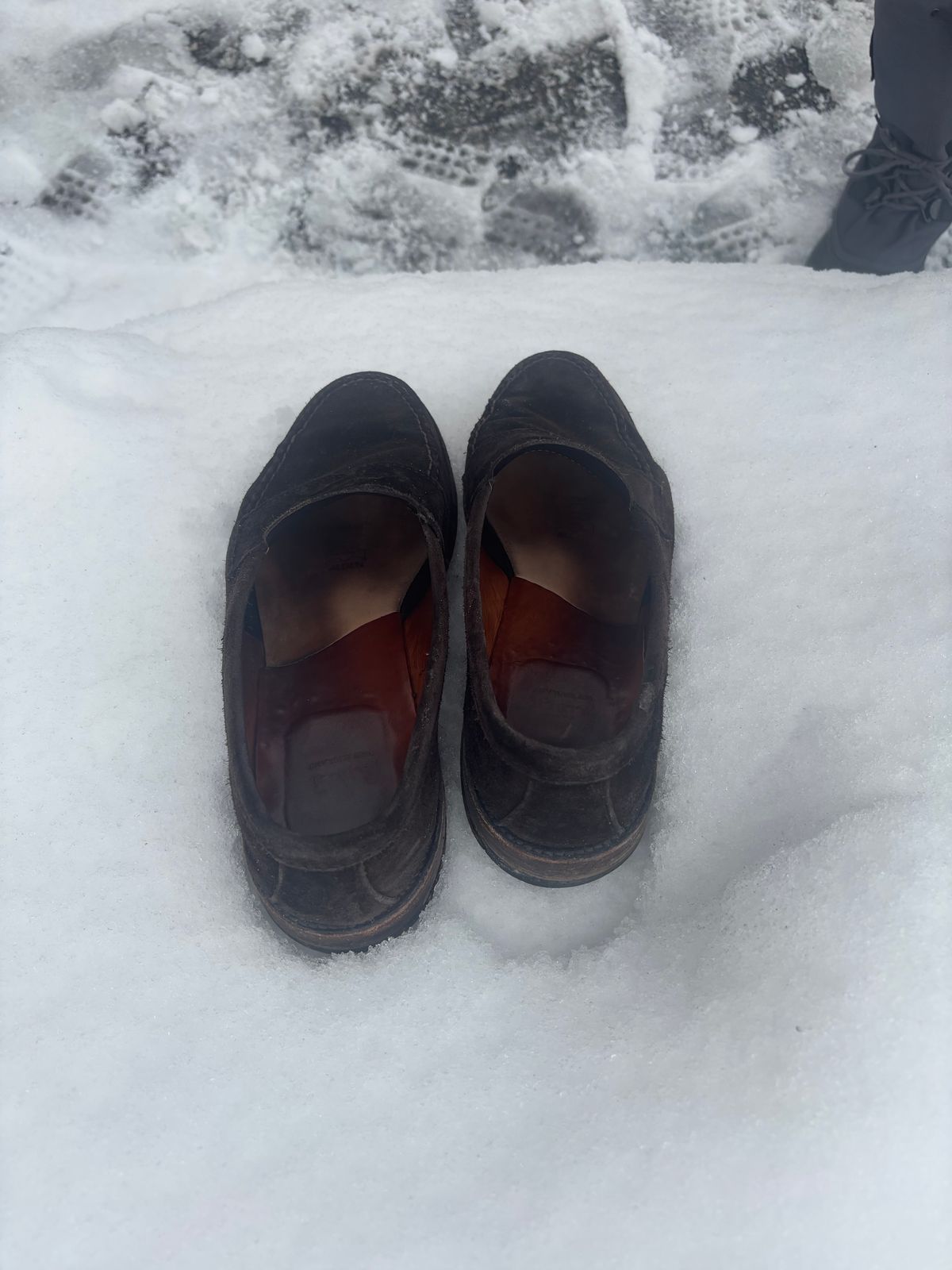 Photo by LastOfTheMohicans on March 4, 2025 of the Alden Leisure Handsewn Penny Loafer in Dark Brown Suede.