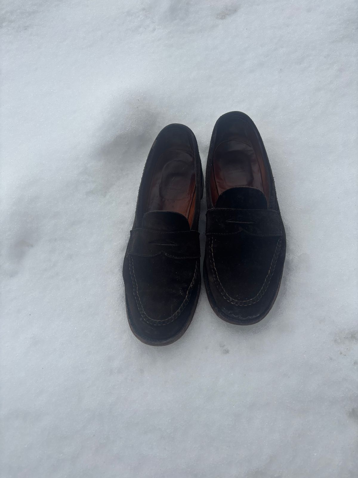 Photo by LastOfTheMohicans on March 4, 2025 of the Alden Leisure Handsewn Penny Loafer in Dark Brown Suede.