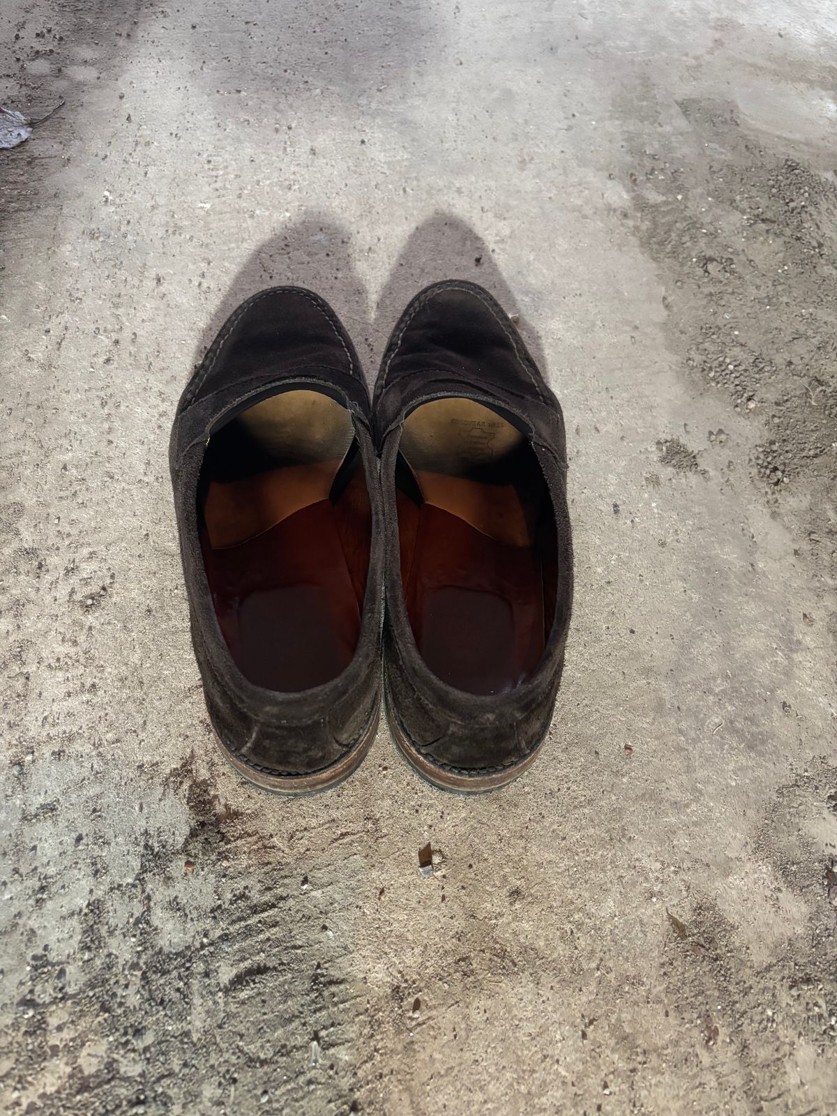Photo by LastOfTheMohicans on April 2, 2025 of the Alden Leisure Handsewn Penny Loafer in Dark Brown Suede.