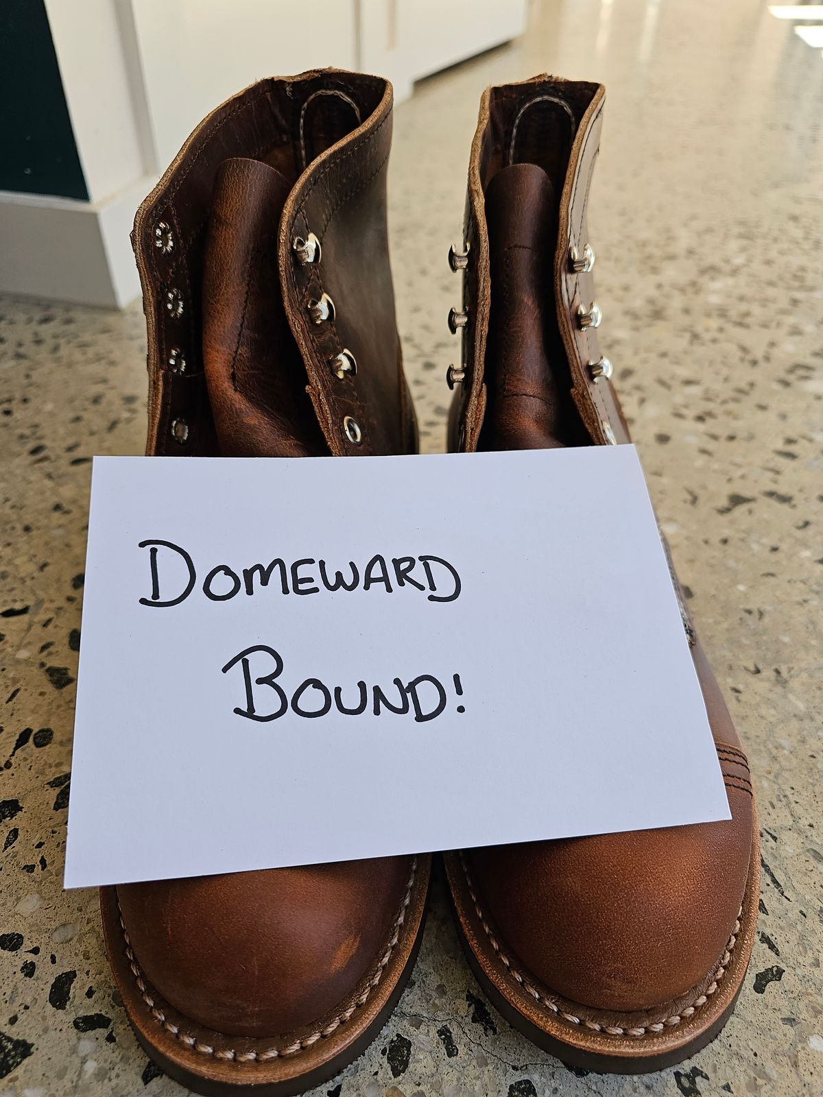 Photo by avizham on October 2, 2023 of the Red Wing Iron Ranger in S.B. Foot Copper Rough and Tough.
