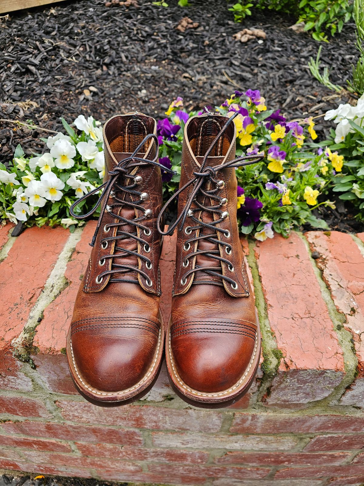 Photo by avizham on December 1, 2023 of the Red Wing Iron Ranger in S.B. Foot Copper Rough and Tough.
