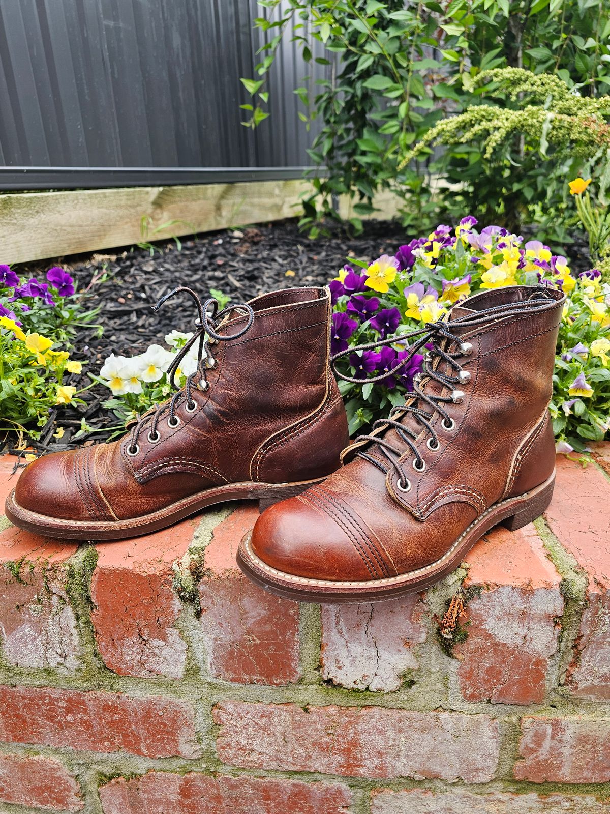 Photo by avizham on January 3, 2024 of the Red Wing Iron Ranger in S.B. Foot Copper Rough and Tough.