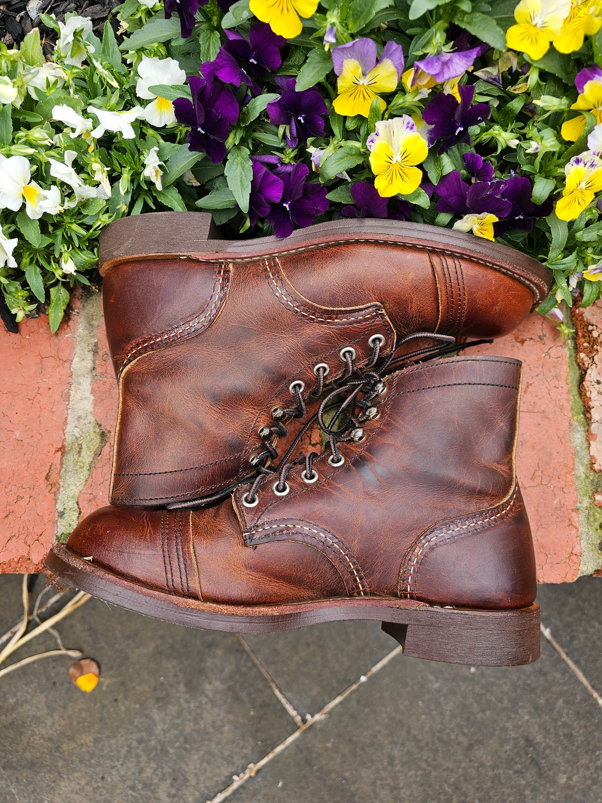 Photo by avizham on January 3, 2024 of the Red Wing Iron Ranger in S.B. Foot Copper Rough and Tough.