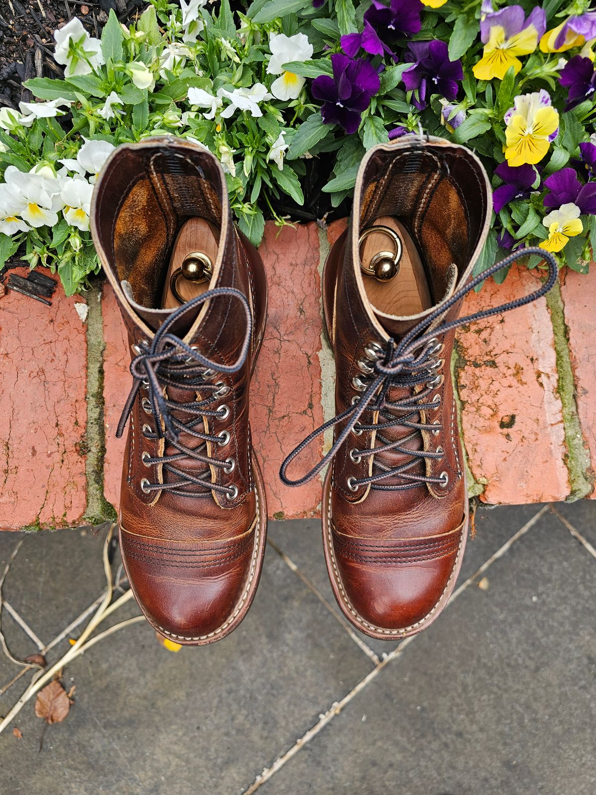 Photo by avizham on January 3, 2024 of the Red Wing Iron Ranger in S.B. Foot Copper Rough and Tough.