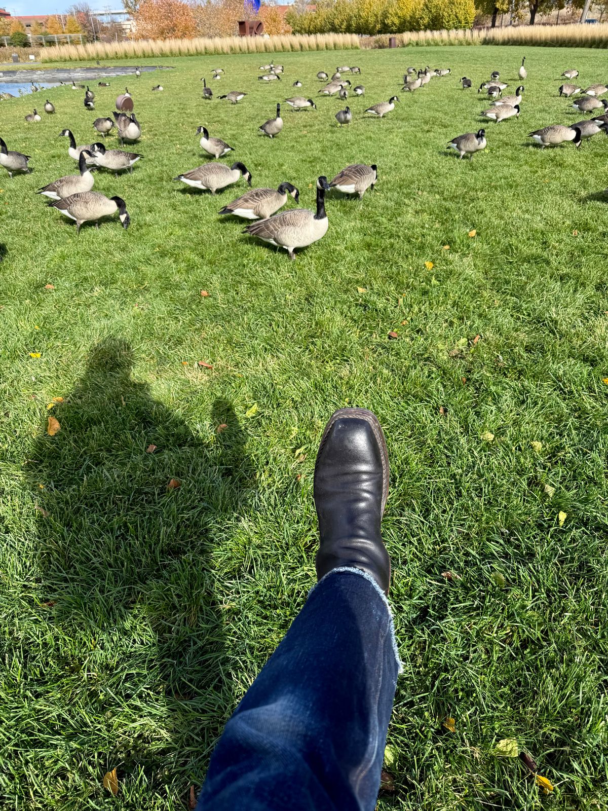 Photo by amara on November 2, 2025 of the Amara hark-weber Custom in Horween Black Waxed Flesh.