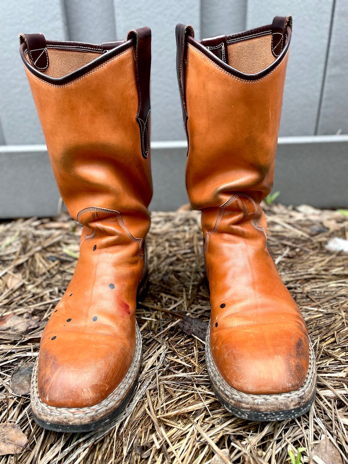Photo by amara on April 1, 2024 of the Amara Hark-Weber Custom Model in Wickett & Craig Natural Glazed Harness.