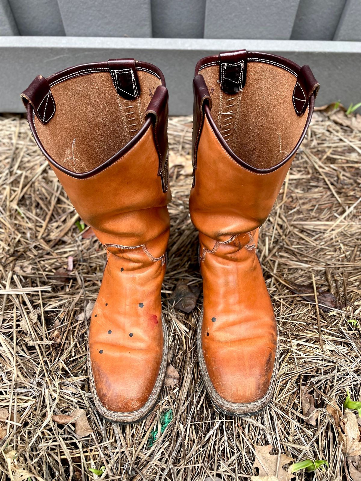Photo by amara on April 1, 2024 of the Amara Hark-Weber Custom Model in Wickett & Craig Natural Glazed Harness.