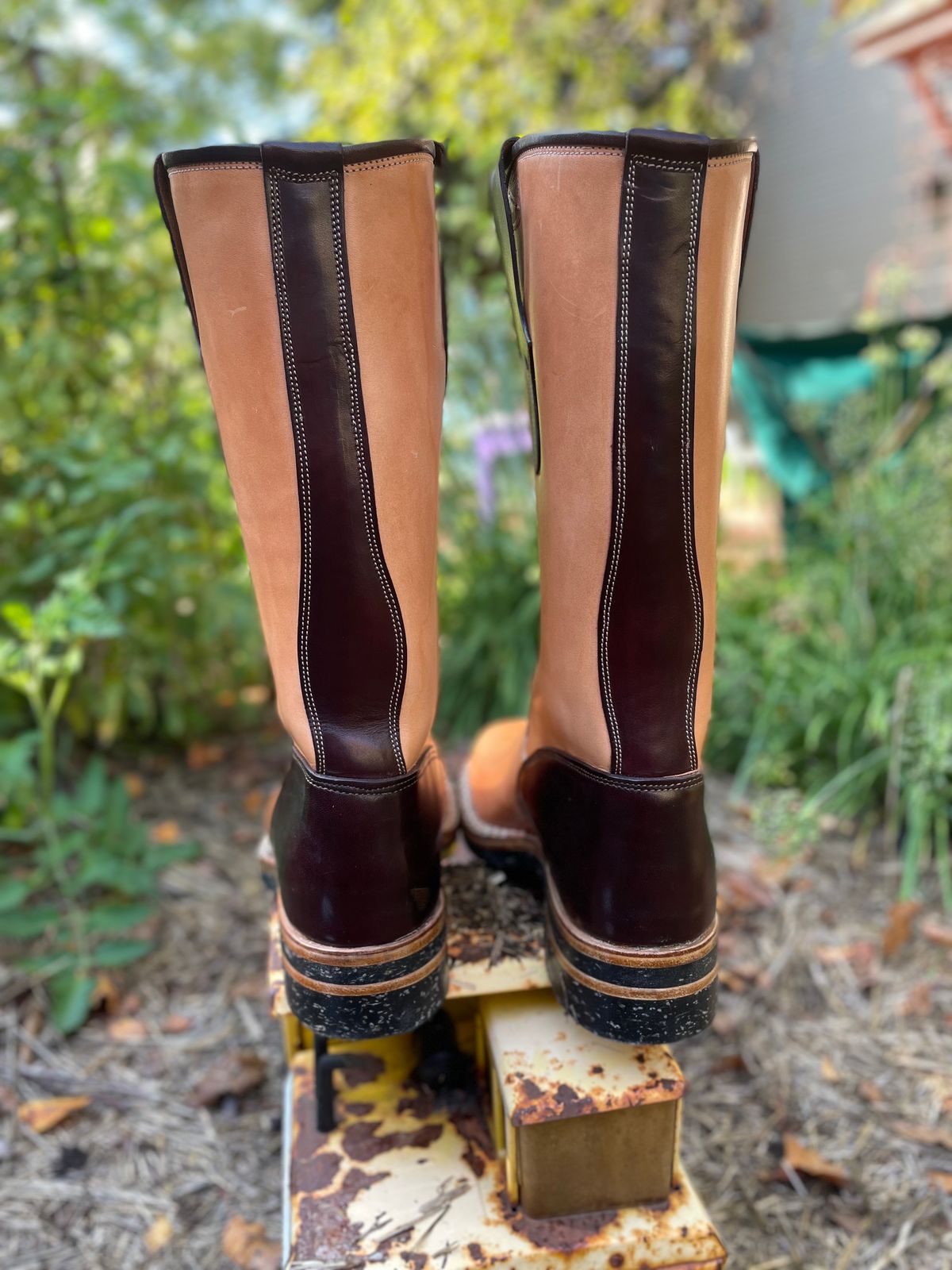 Photo by amara on October 2, 2023 of the Amara Hark-Weber Custom Model in Wickett & Craig Natural Glazed Harness.