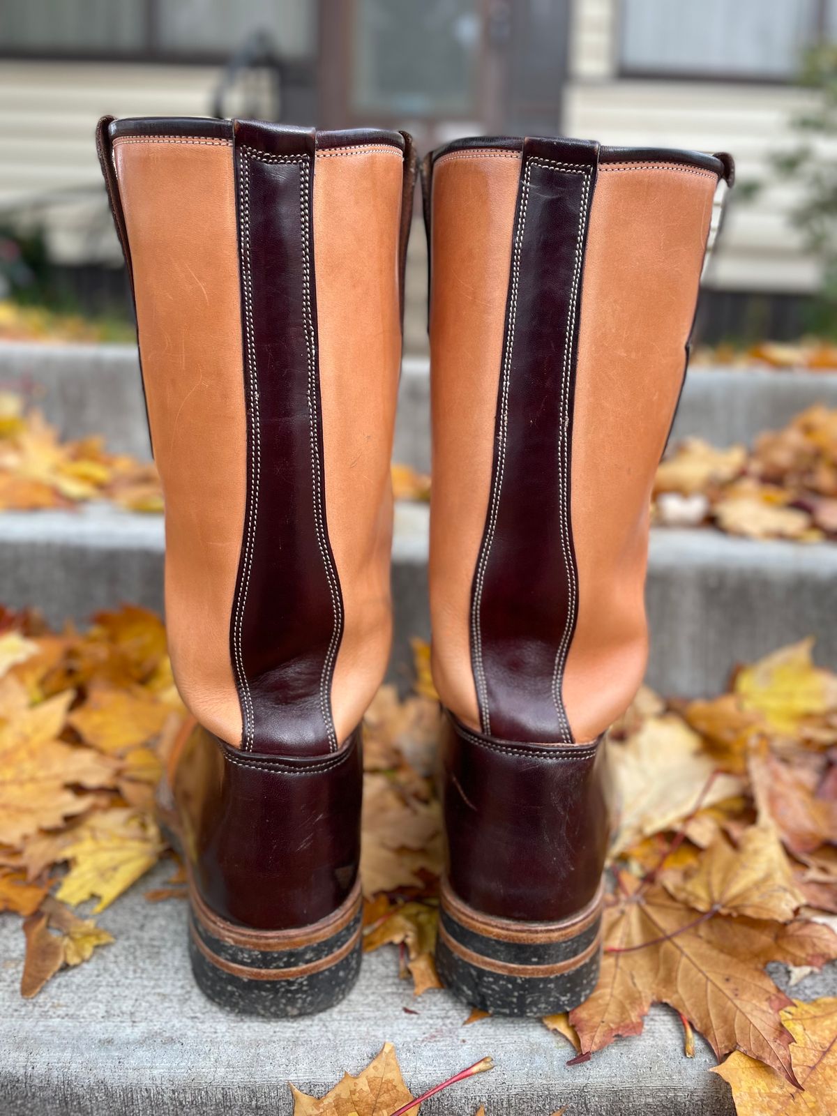 Photo by amara on November 1, 2023 of the Amara Hark-Weber Custom Model in Wickett & Craig Natural Glazed Harness.
