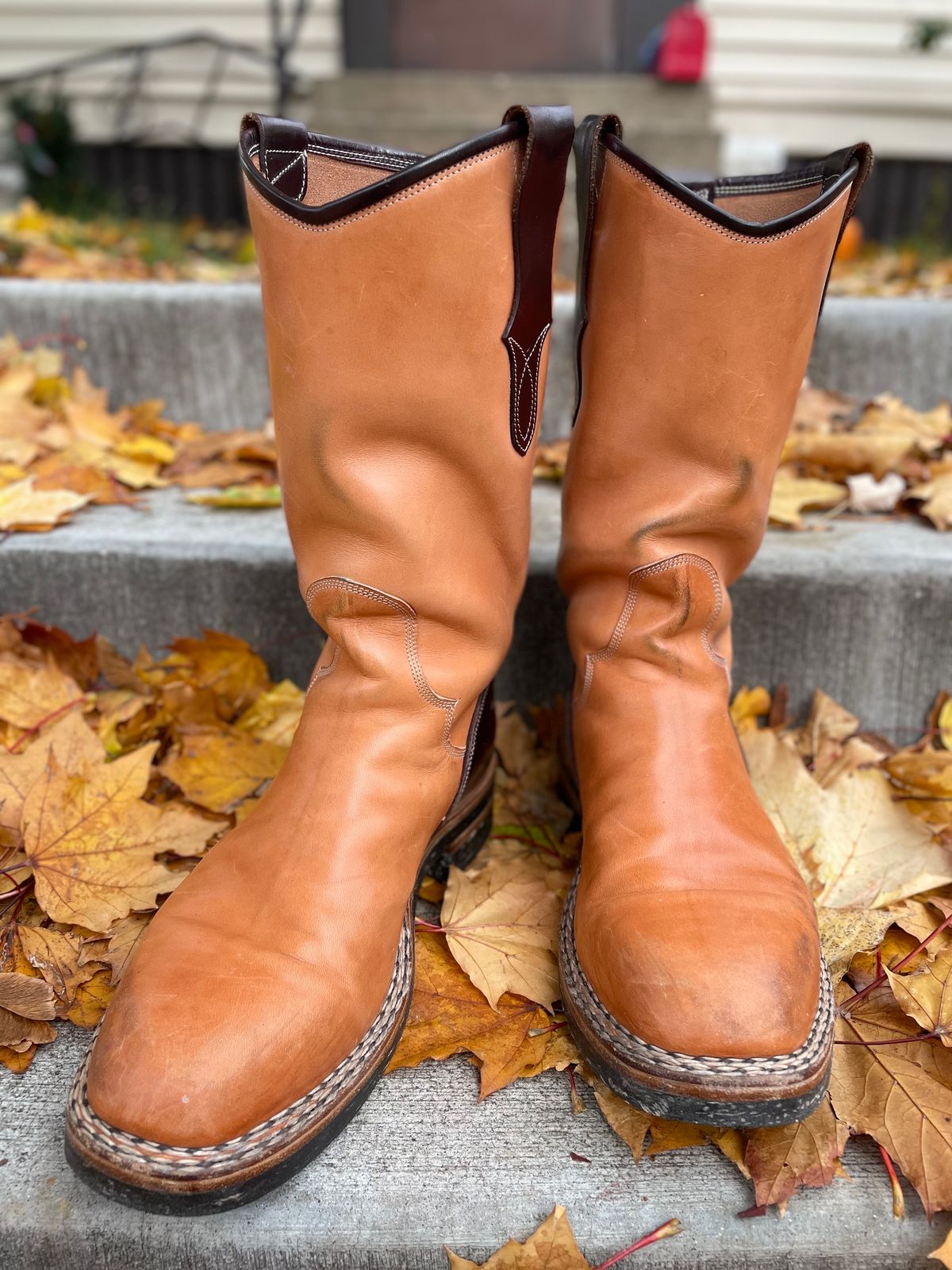 Photo by amara on November 1, 2023 of the Amara Hark-Weber Custom Model in Wickett & Craig Natural Glazed Harness.