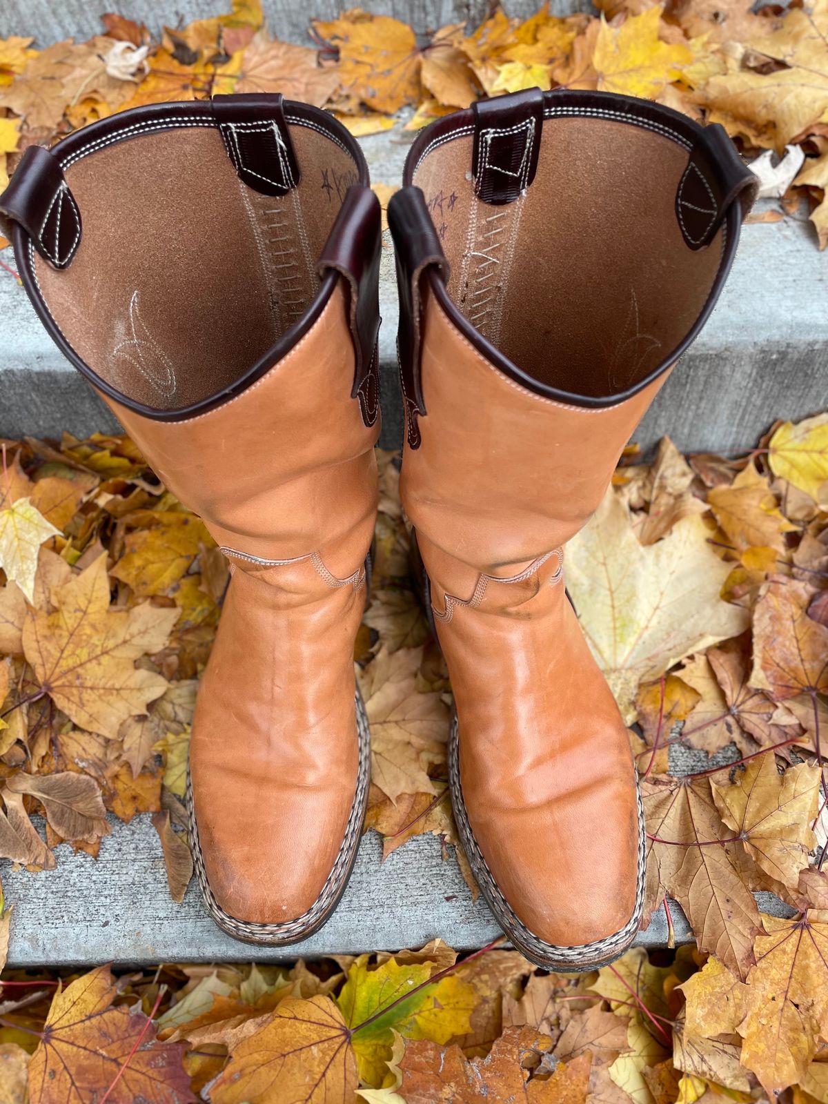 Photo by amara on November 1, 2023 of the Amara Hark-Weber Custom Model in Wickett & Craig Natural Glazed Harness.