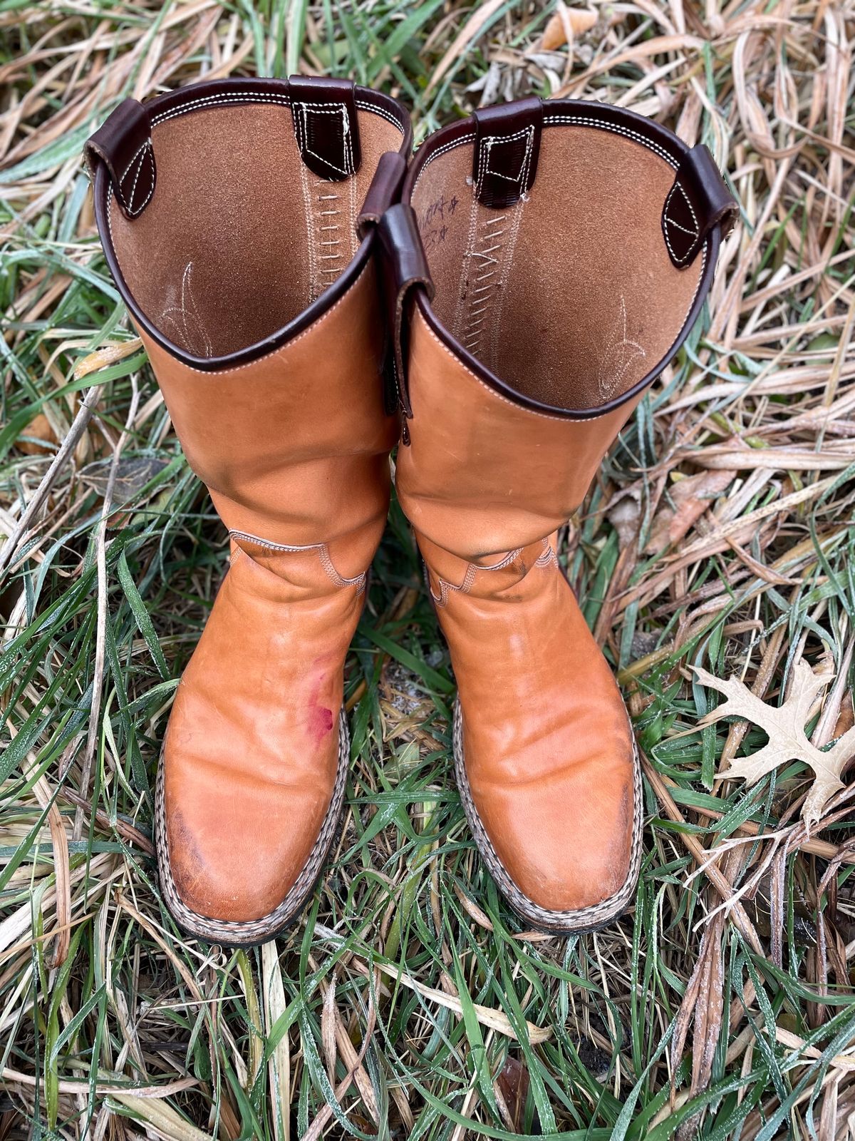 Photo by amara on December 1, 2023 of the Amara Hark-Weber Custom Model in Wickett & Craig Natural Glazed Harness.