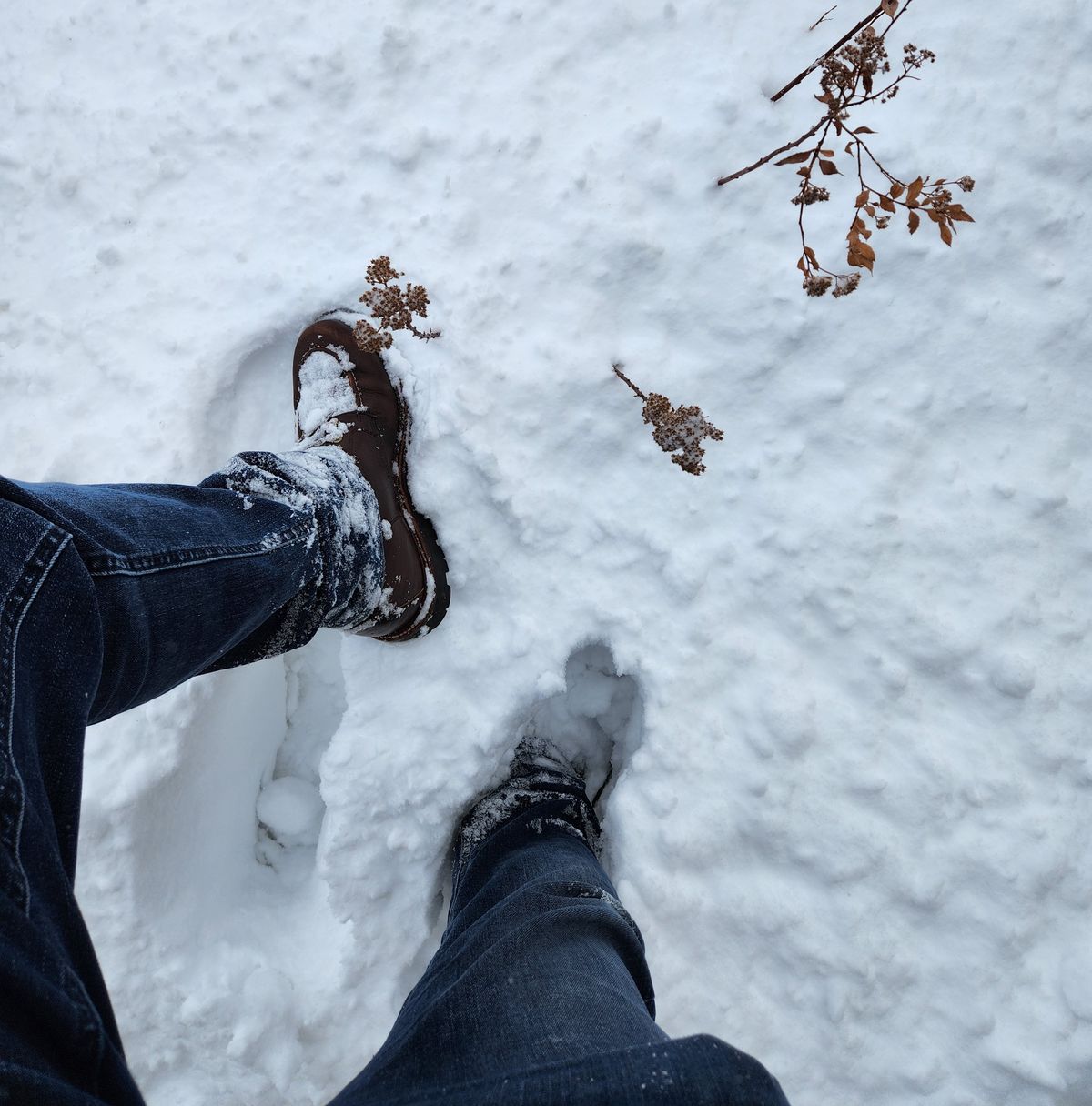 Photo by ejw on January 19, 2023 of the Grant Stone Brass Boot in Horween Crimson Chromexcel.