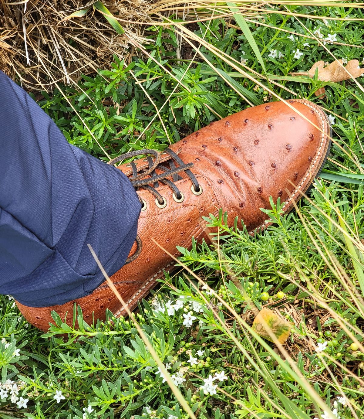 Photo by ejw on September 21, 2022 of the Grant Stone Diesel Boot in Cognac Ostrich.