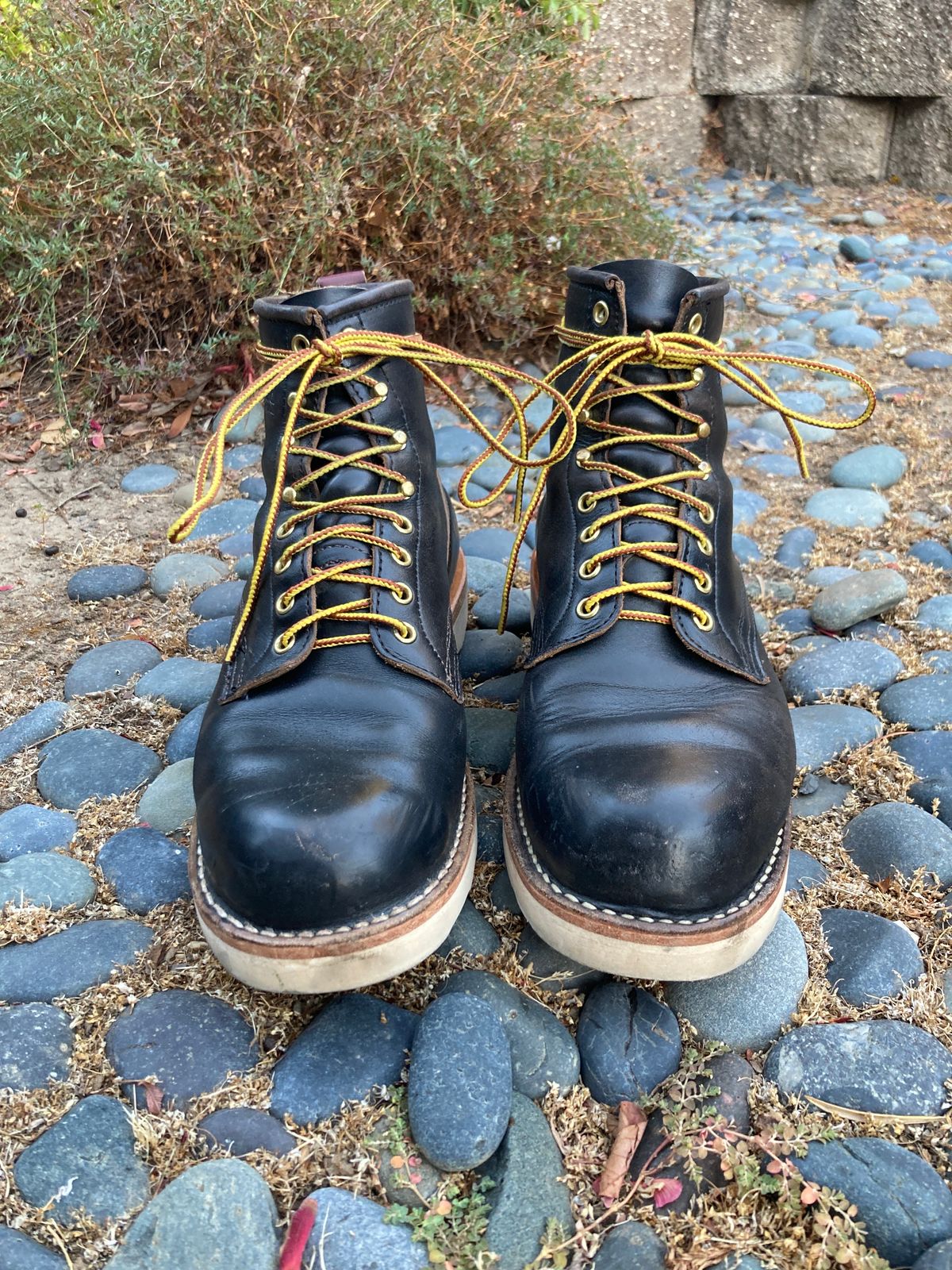 Photo by boogieshafer on September 11, 2023 of the White's x Max Schaaf 4Q Riding Boot in Horween Black Teacore Chromexcel.