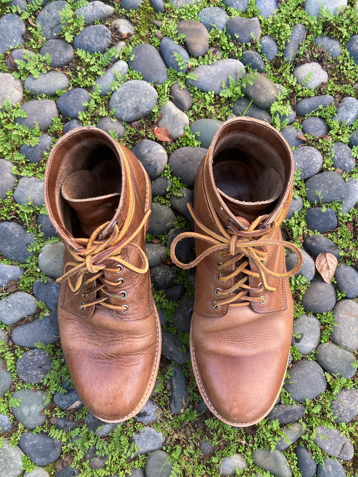 Photo by boogieshafer on January 1, 2024 of the Oak Street Bootmakers Trench Boot in Horween Natural Chromexcel.