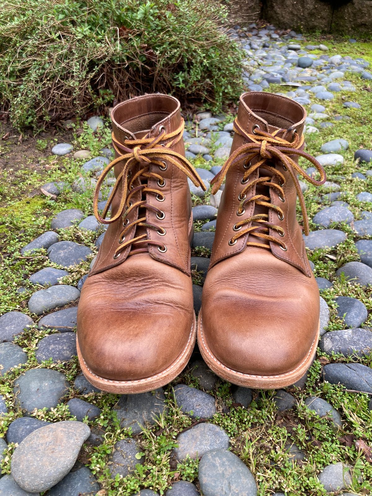 Photo by boogieshafer on February 3, 2024 of the Oak Street Bootmakers Trench Boot in Horween Natural Chromexcel.