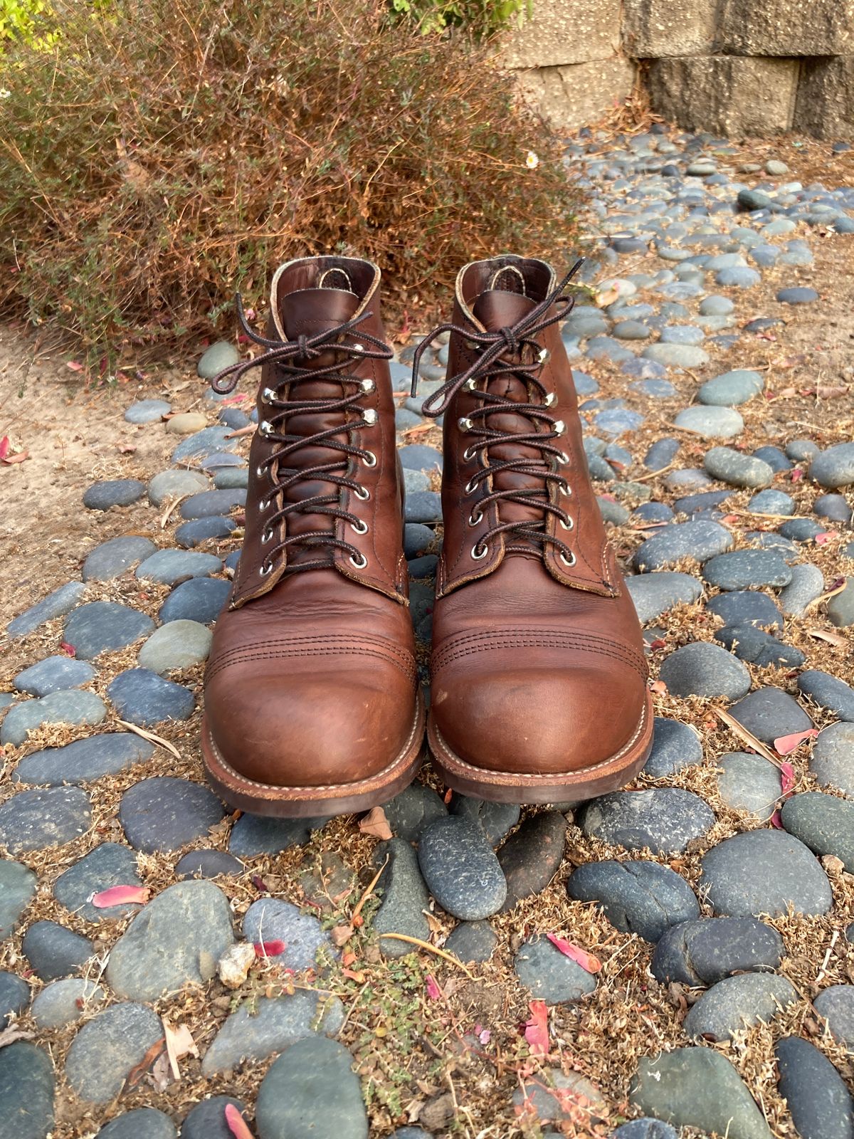 Photo by boogieshafer on October 1, 2023 of the Red Wing Iron Ranger in S.B. Foot Amber Harness.