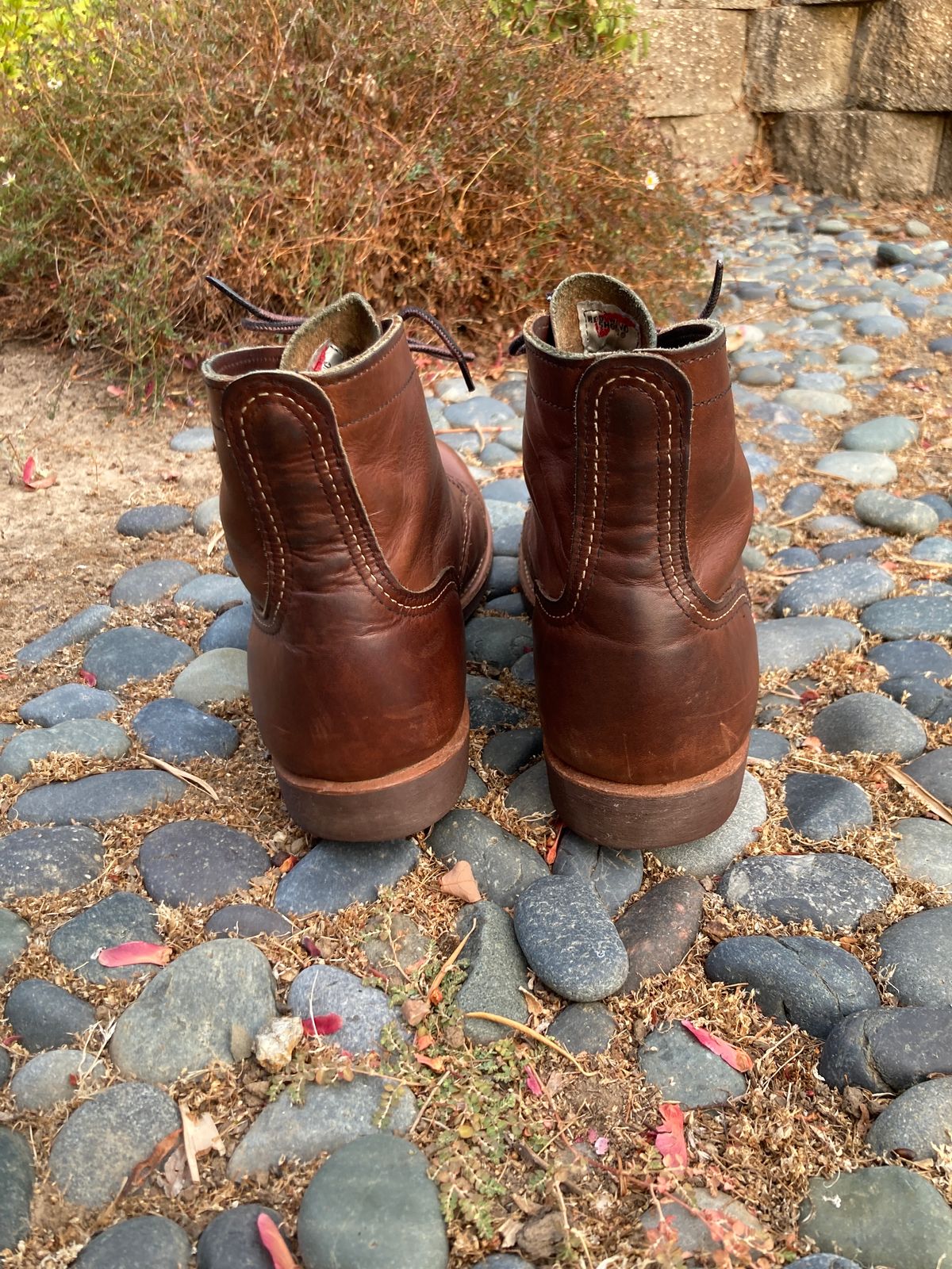 Photo by boogieshafer on October 1, 2023 of the Red Wing Iron Ranger in S.B. Foot Amber Harness.