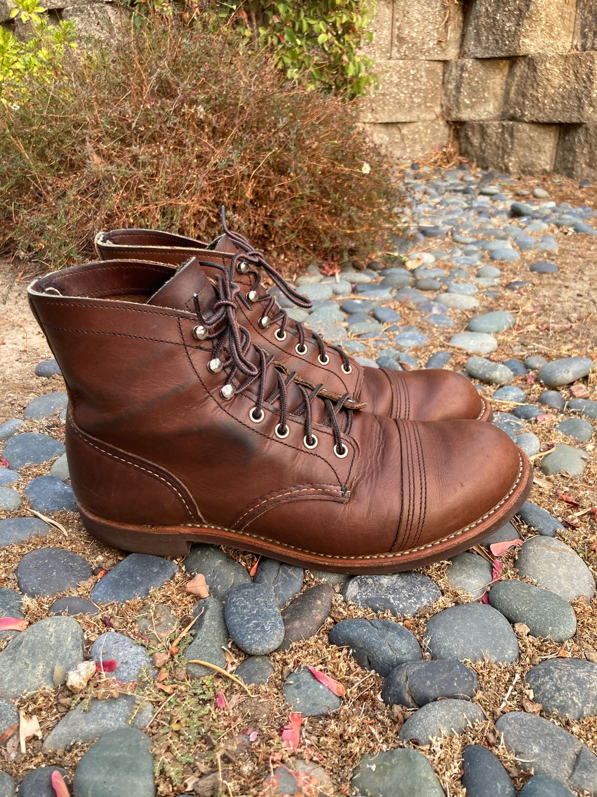 Photo by boogieshafer on October 1, 2023 of the Red Wing Iron Ranger in S.B. Foot Amber Harness.