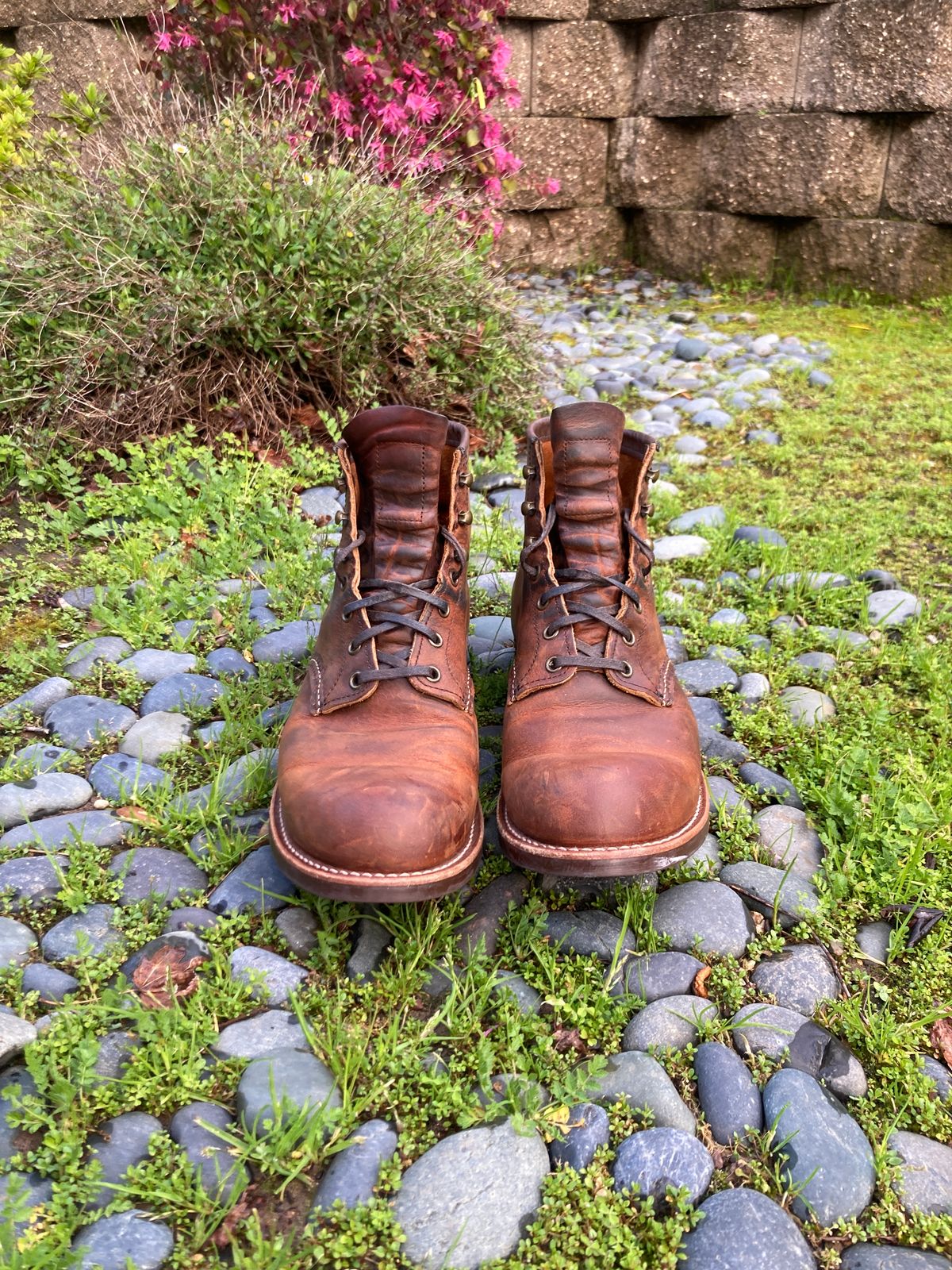 Photo by boogieshafer on March 4, 2024 of the Red Wing Blacksmith in S.B. Foot Copper Rough and Tough.