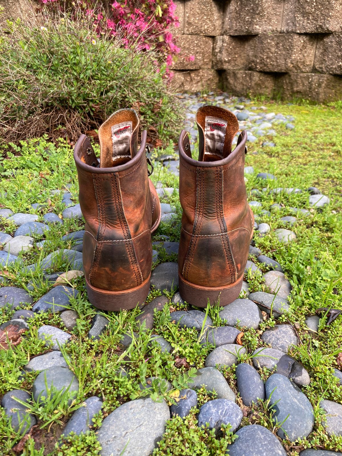 Photo by boogieshafer on March 4, 2024 of the Red Wing Blacksmith in S.B. Foot Copper Rough and Tough.