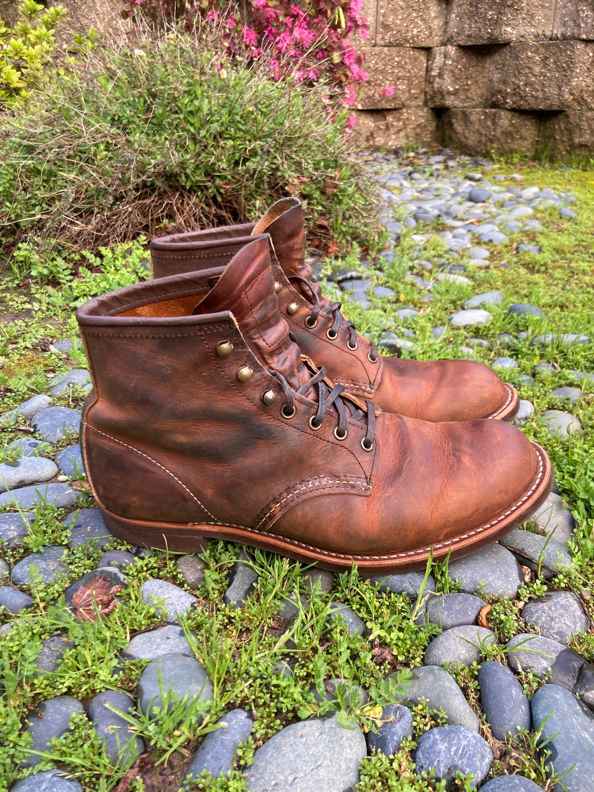 Photo by boogieshafer on March 4, 2024 of the Red Wing Blacksmith in S.B. Foot Copper Rough and Tough.