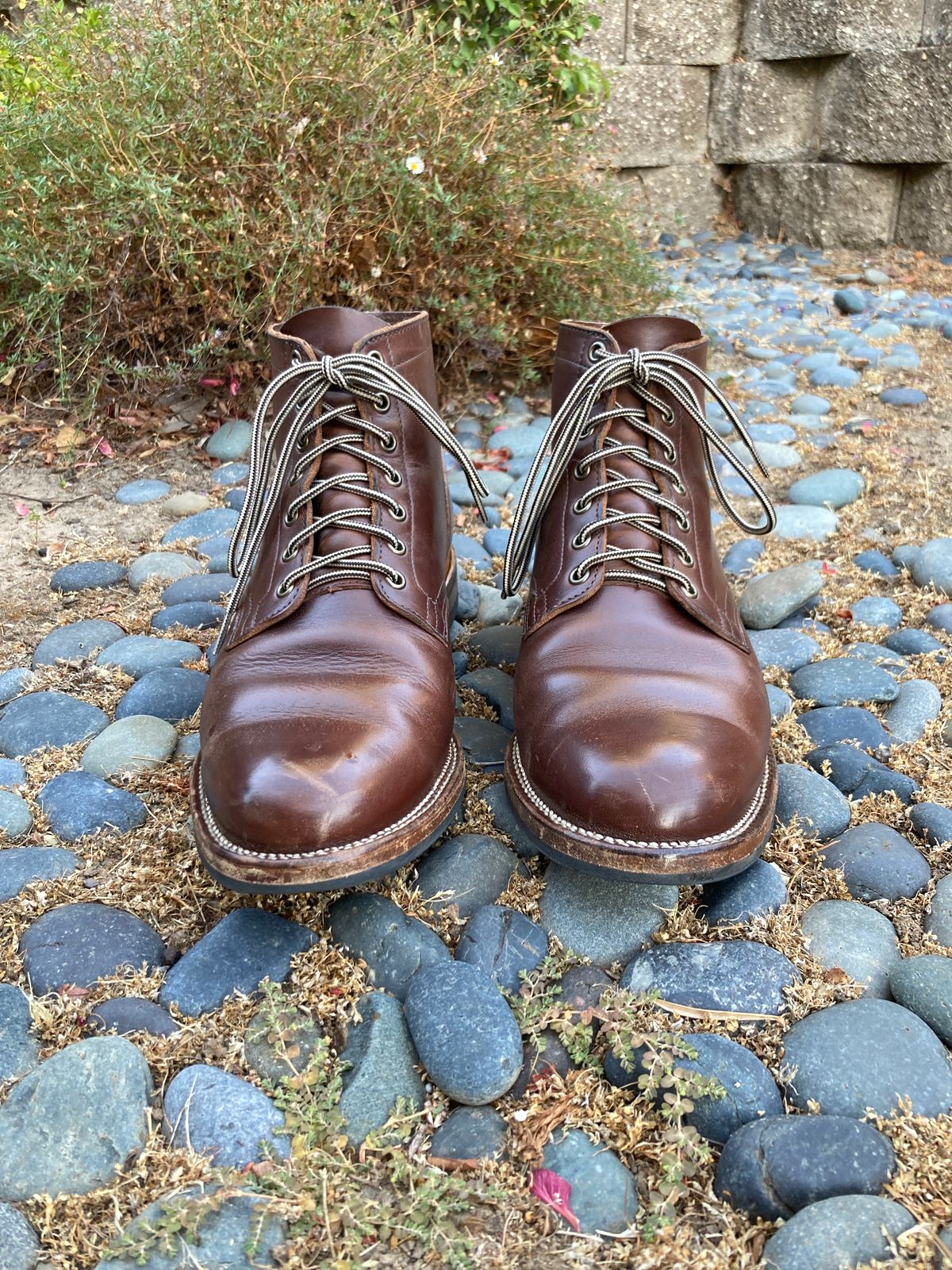 Photo by boogieshafer on August 27, 2023 of the Viberg Service Boot in Horween Brown Chromexcel.