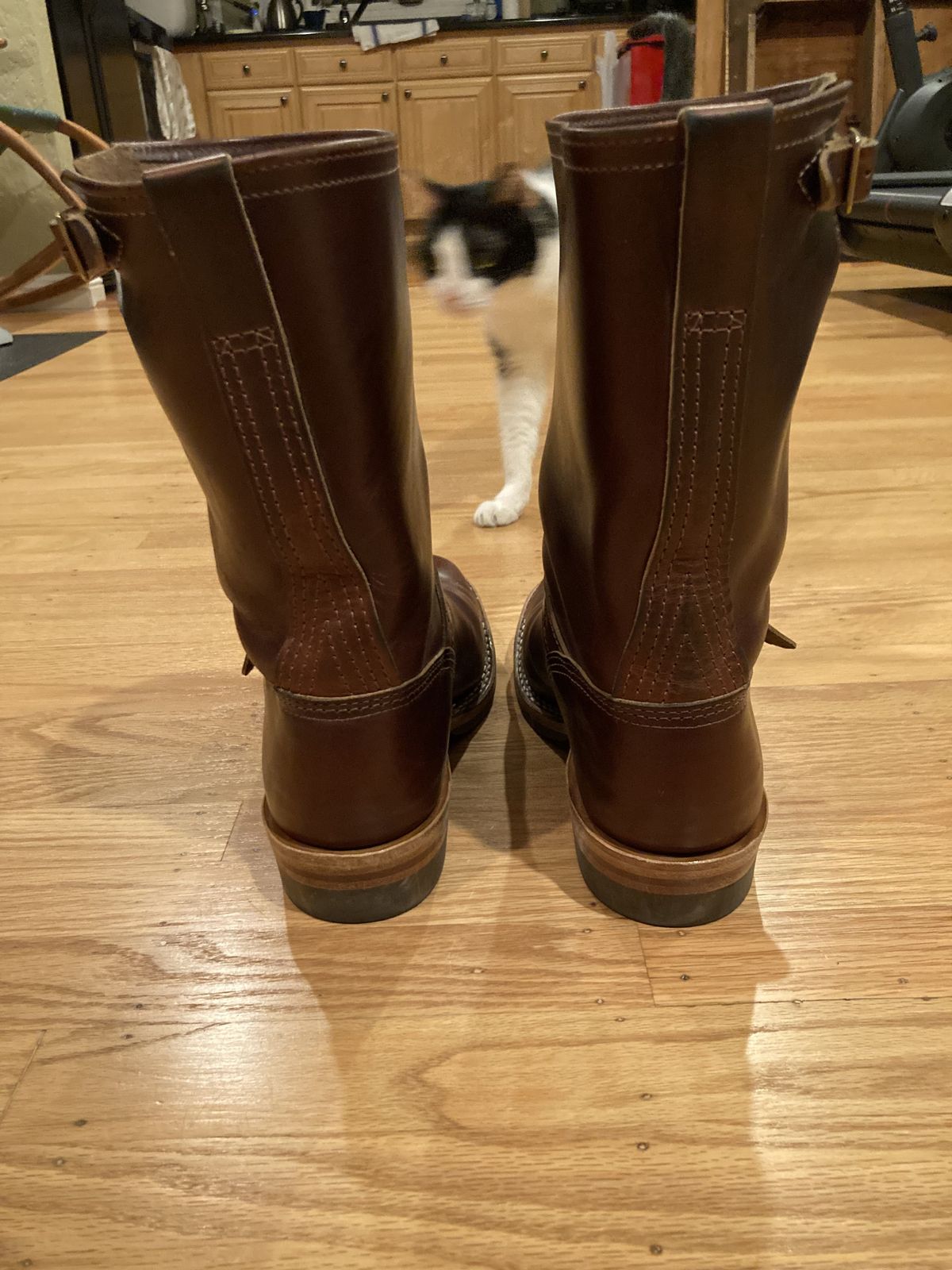 Photo by boogieshafer on March 6, 2022 of the Wesco Mister Lou in Horween Umber Chromexcel.