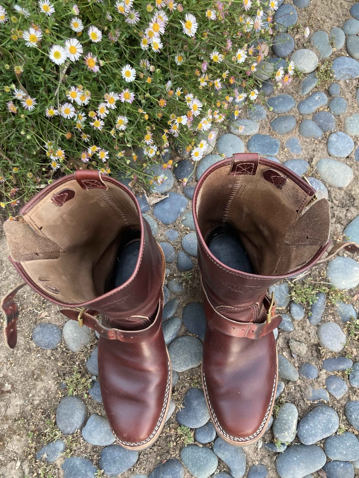 Photo by boogieshafer on May 2, 2022 of the Wesco Mister Lou in Horween Umber Chromexcel.