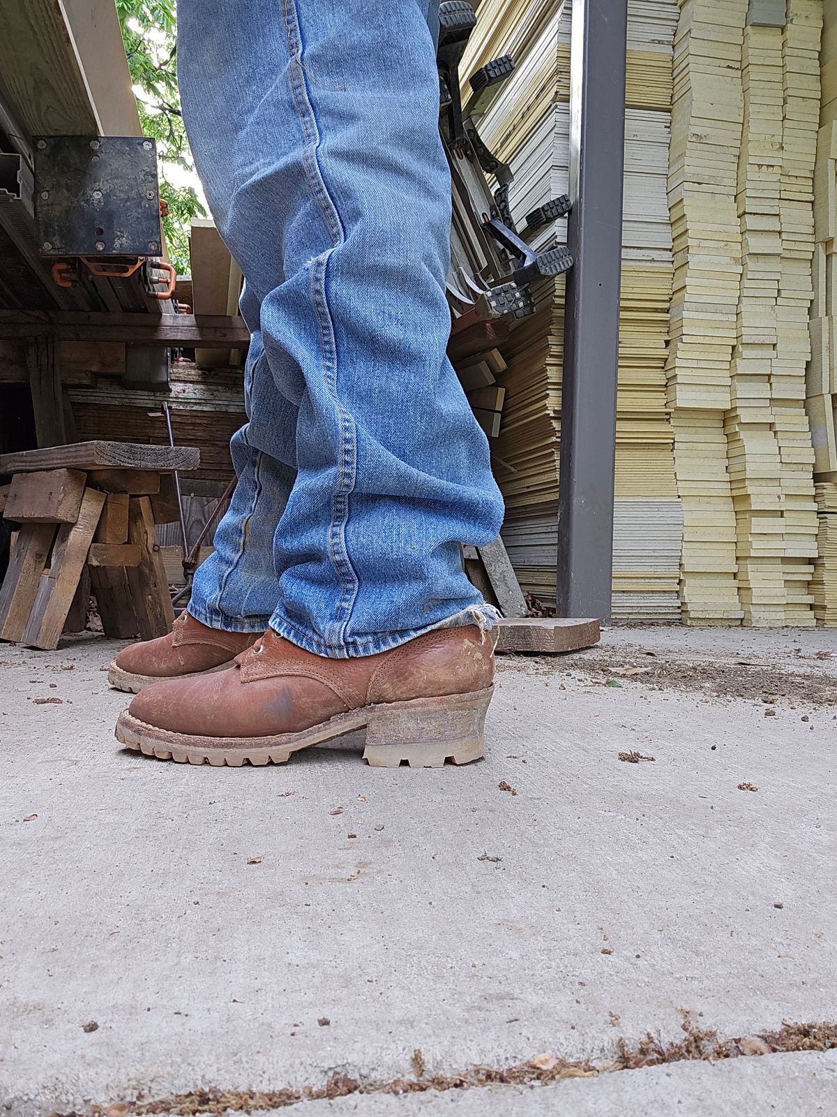 Photo by arriaga214 on April 5, 2024 of the Nicks Urban Logger in Seidel Peanut Tuscon Bison.