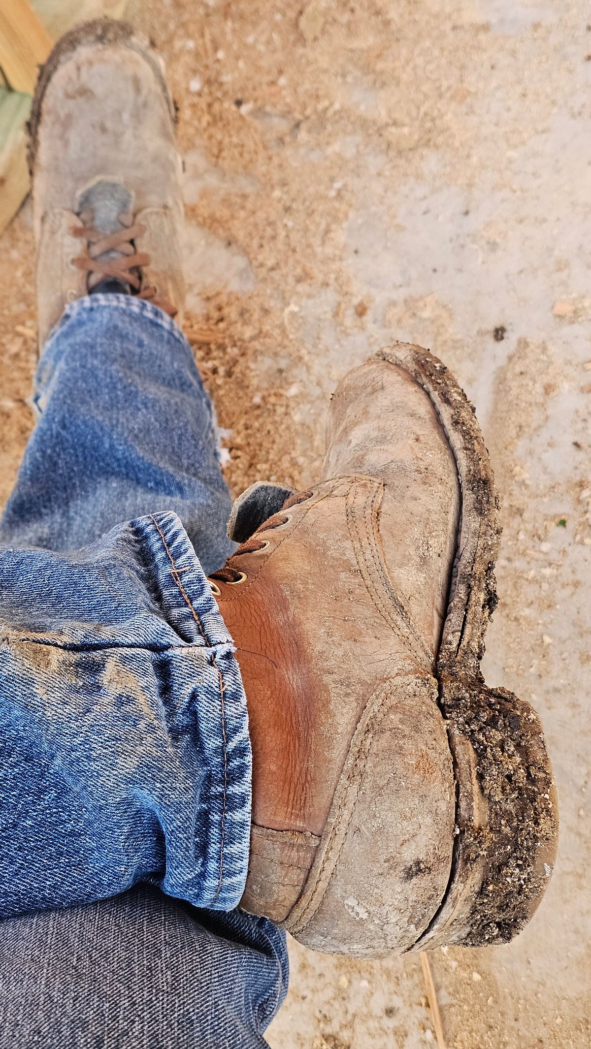 Photo by arriaga214 on May 13, 2026 of the Nicks Urban Logger in Seidel Peanut Tuscon Bison.
