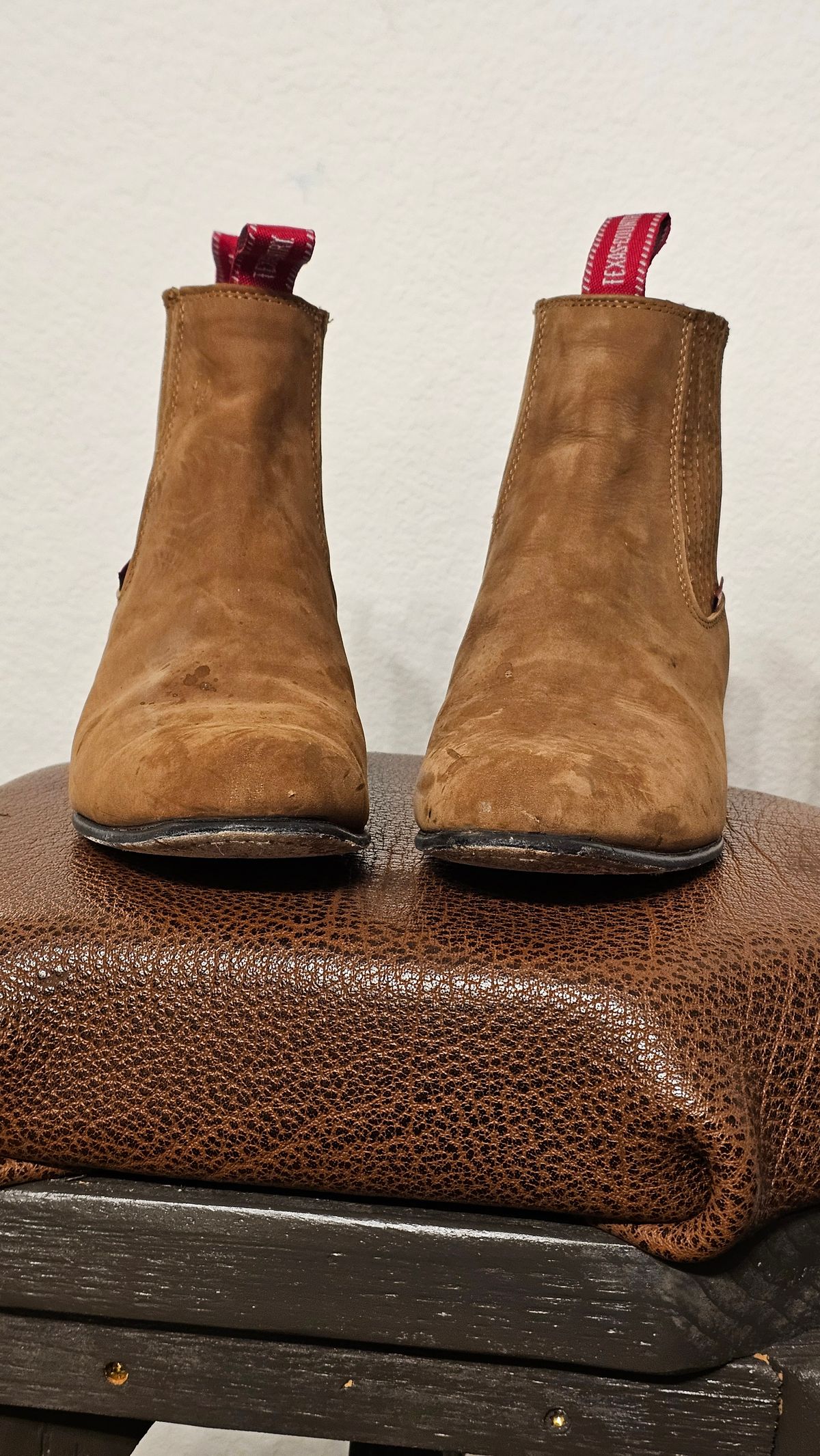 Photo by arriaga214 on November 6, 2025 of the Texas Country Botin Charro in Cuero, Cajeta.