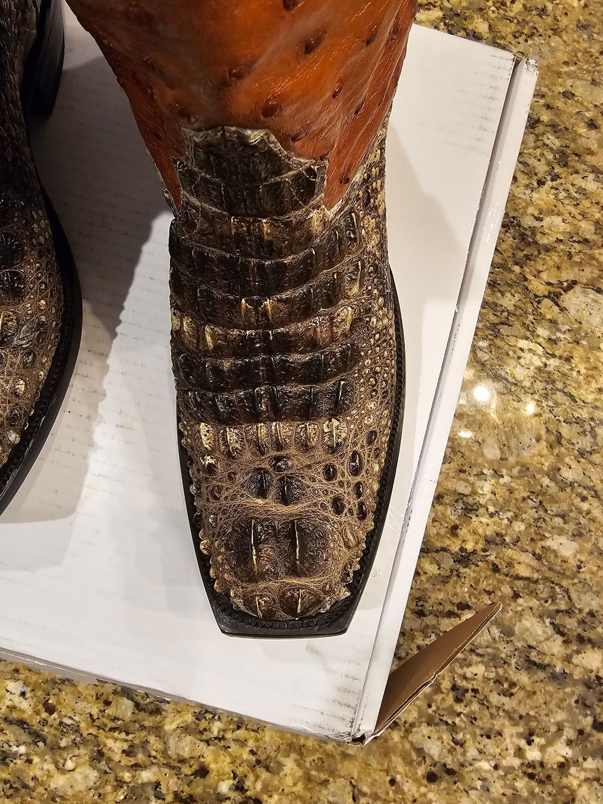 Photo by arriaga214 on April 20, 2024 of the Acosta Boots. Cowboy Boot in Head Cut Gator, Full Quill Ostrich.
